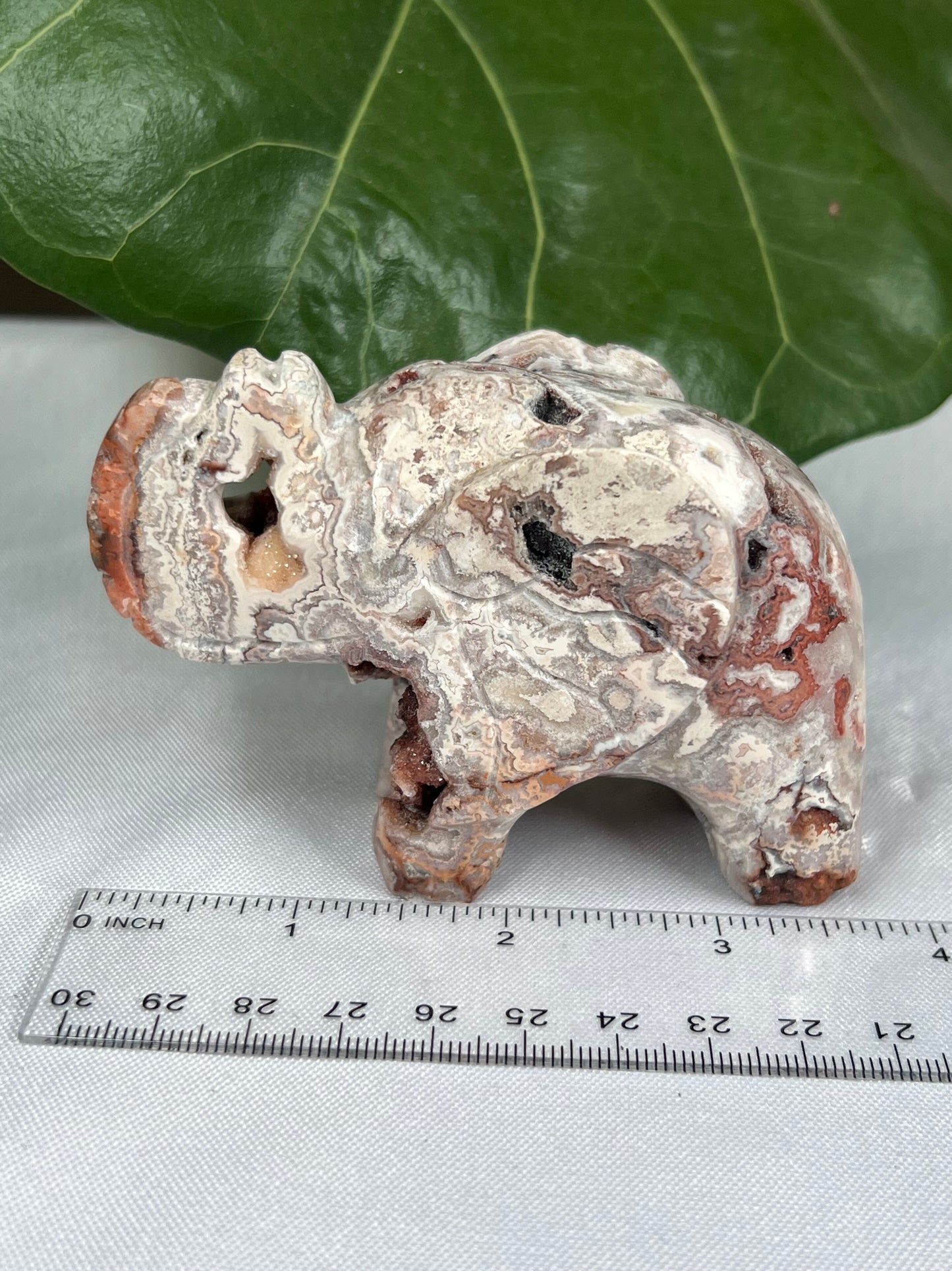 Crazy Lace Agate Elephant