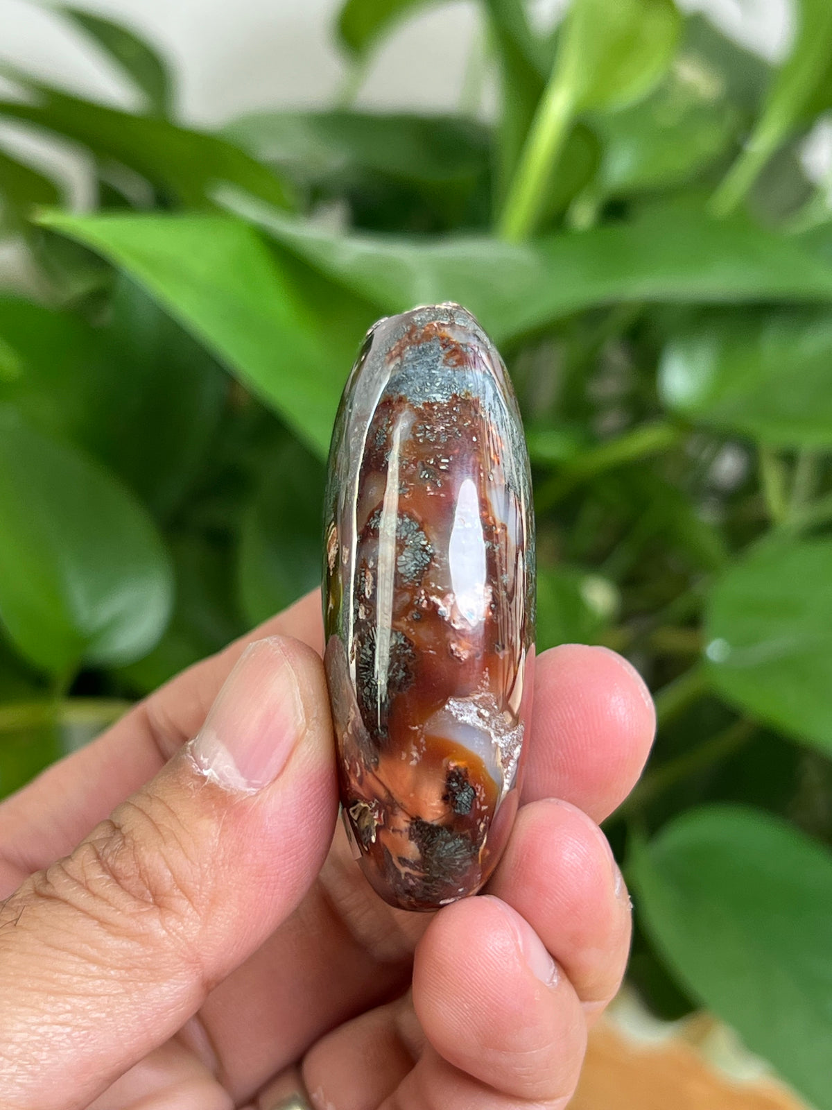 Marcasite Palmstone: BC
