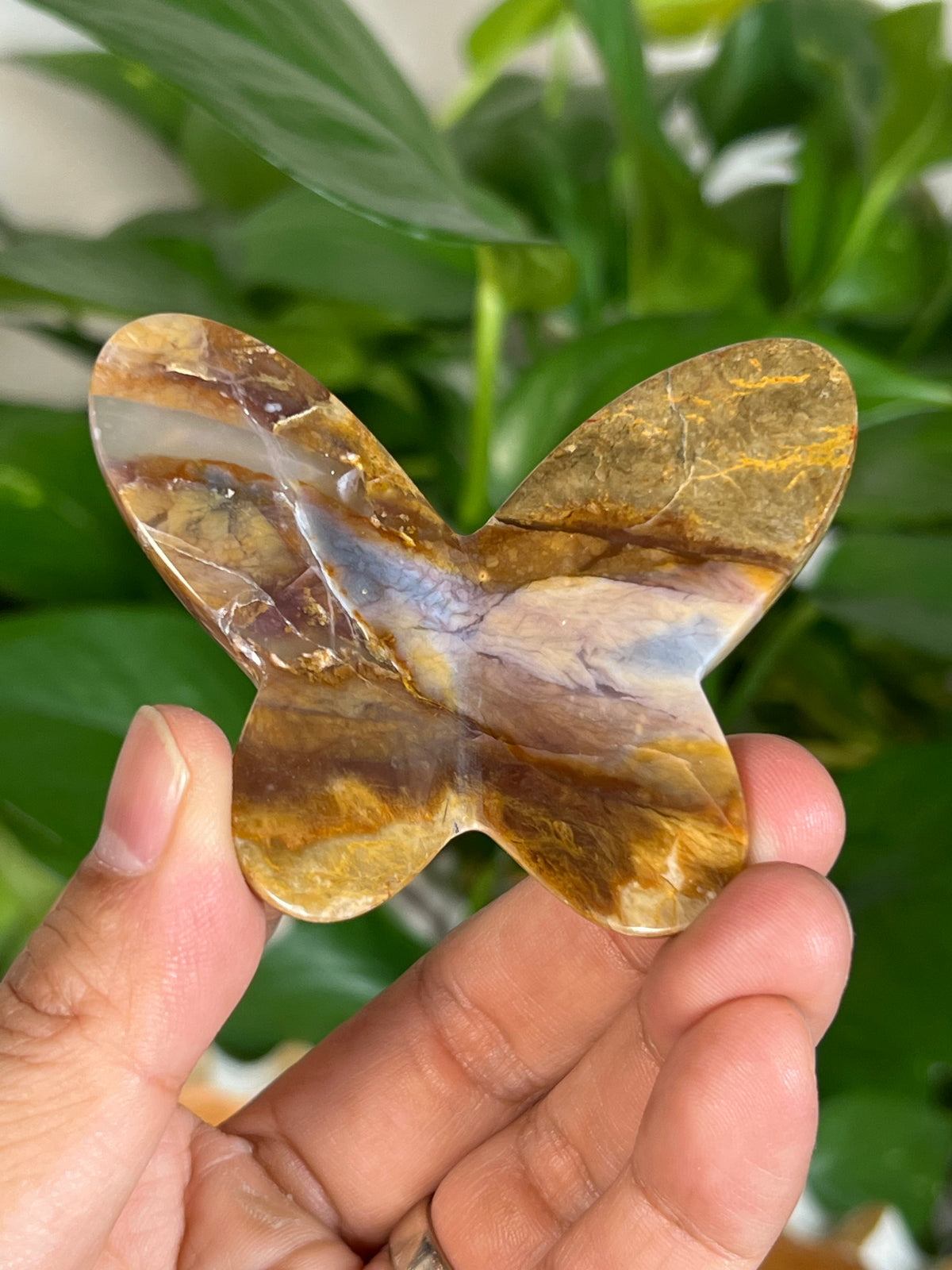 River Jasper 3D Butterflies