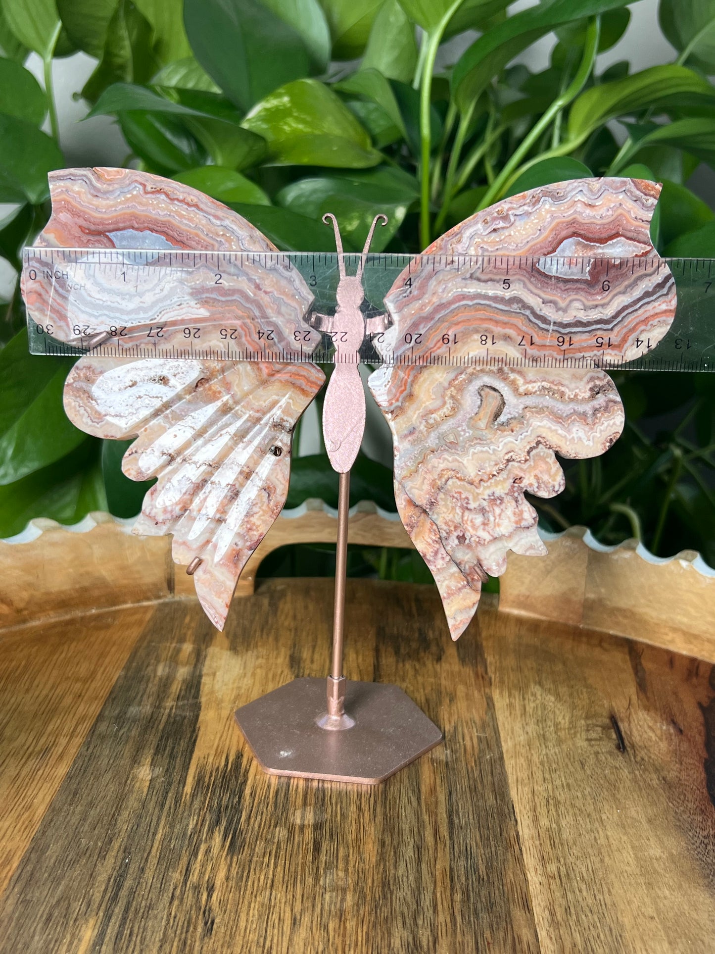 Crazy Lace Agate Wings