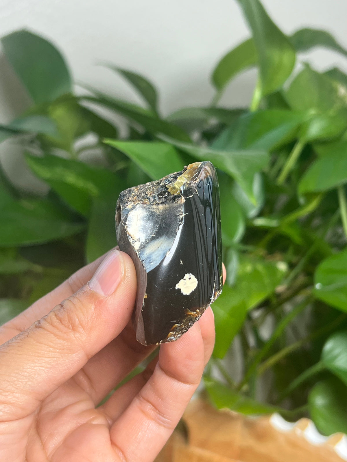 Blue Amber Freeform: SK
