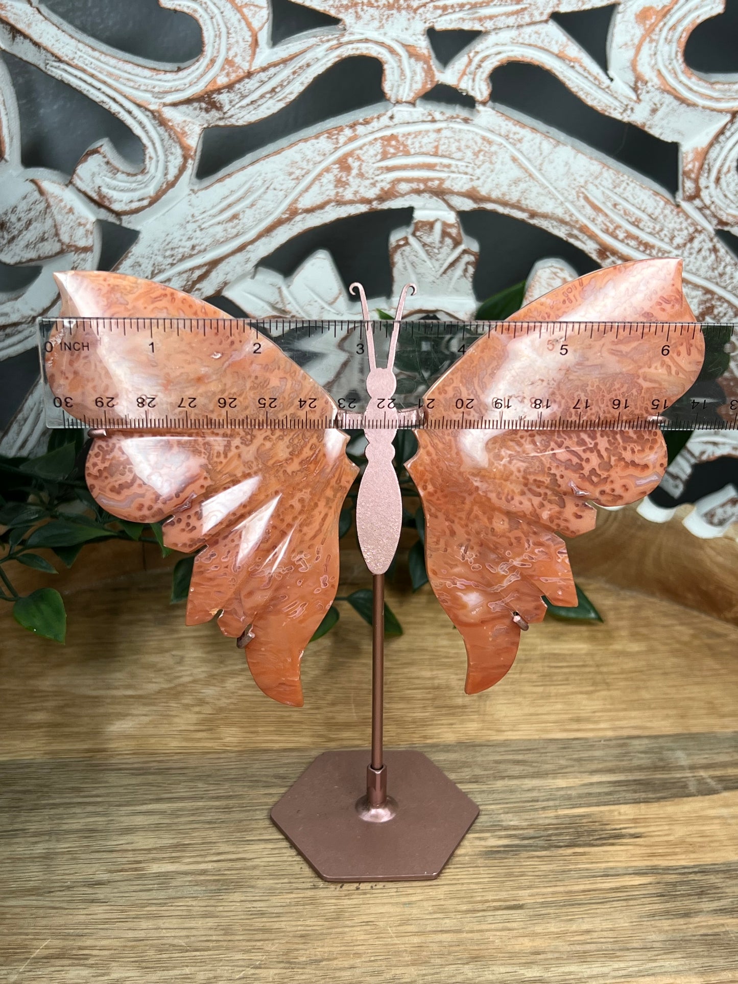 Carnelian Wings