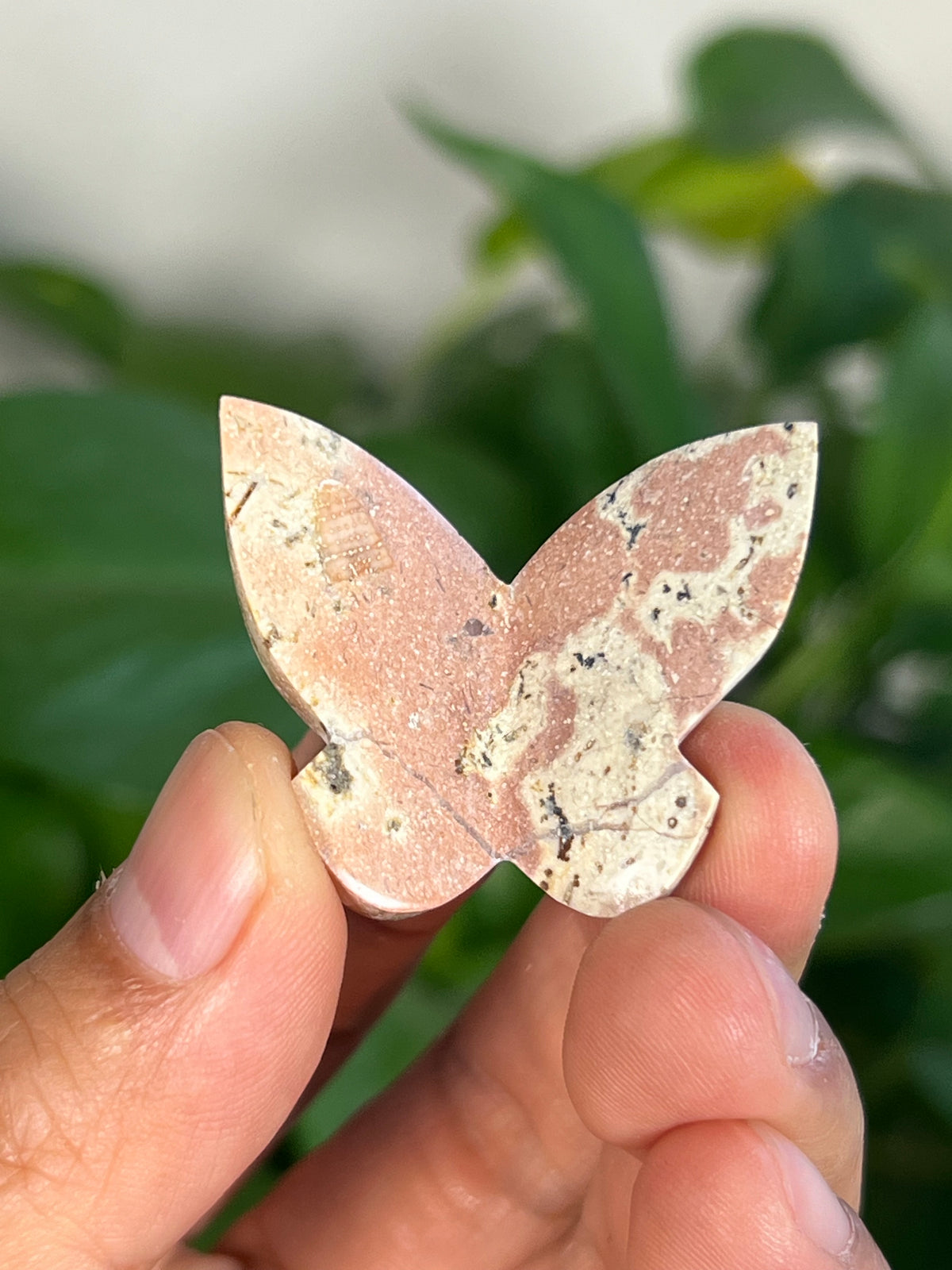 Peachy Pink Dendritic Jasper Mini 3D Butterflies