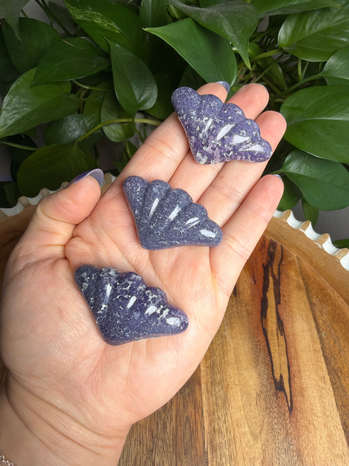 Grape Agate Shells