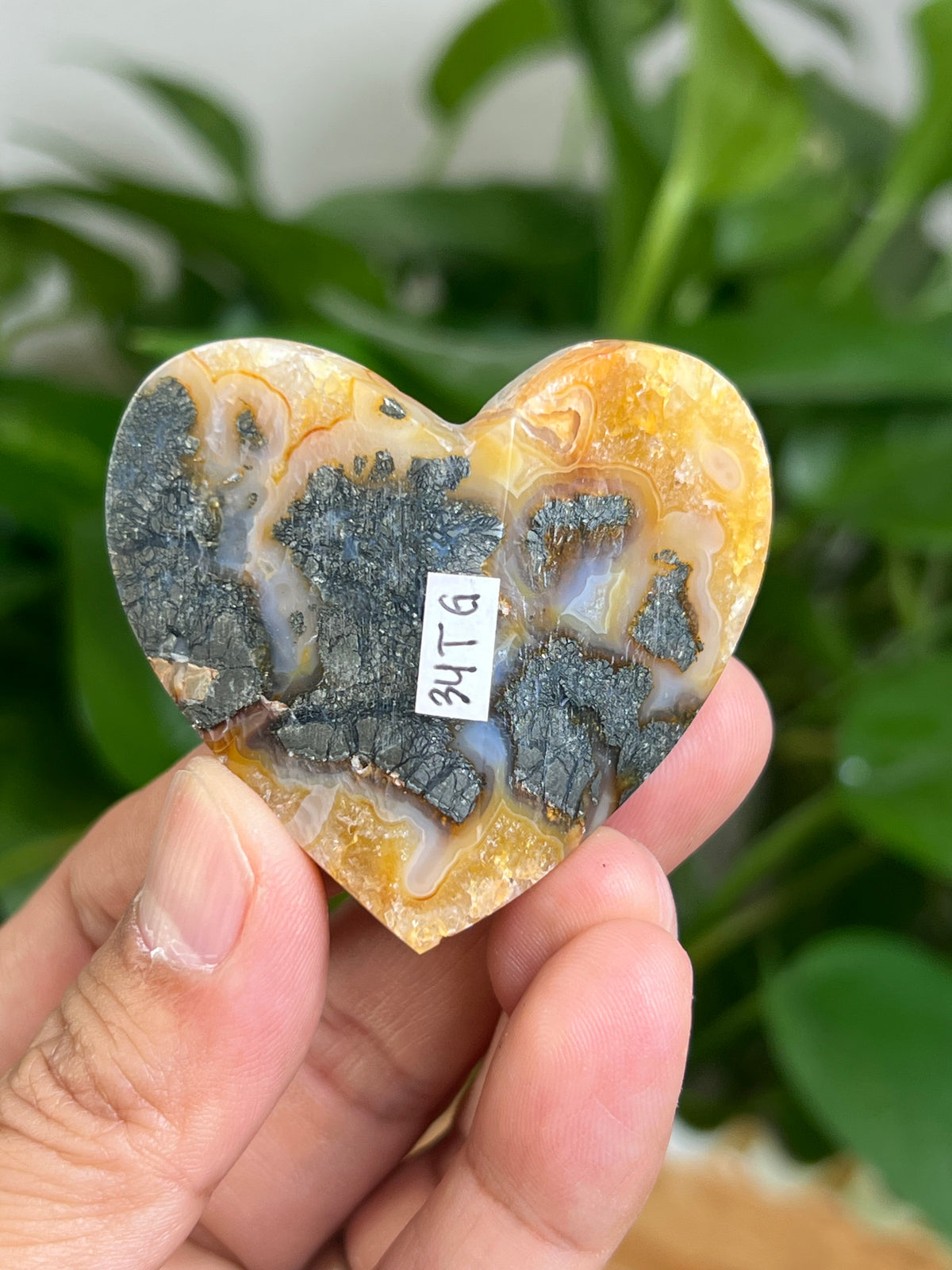 Marcasite 3D Butterfly Heart: TG