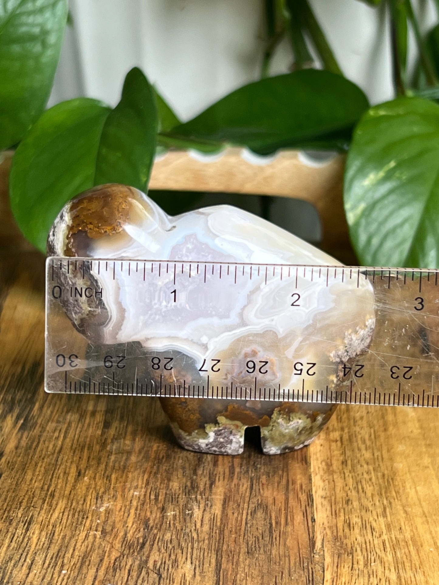 Scenic Moss Agate Buffalo NY
