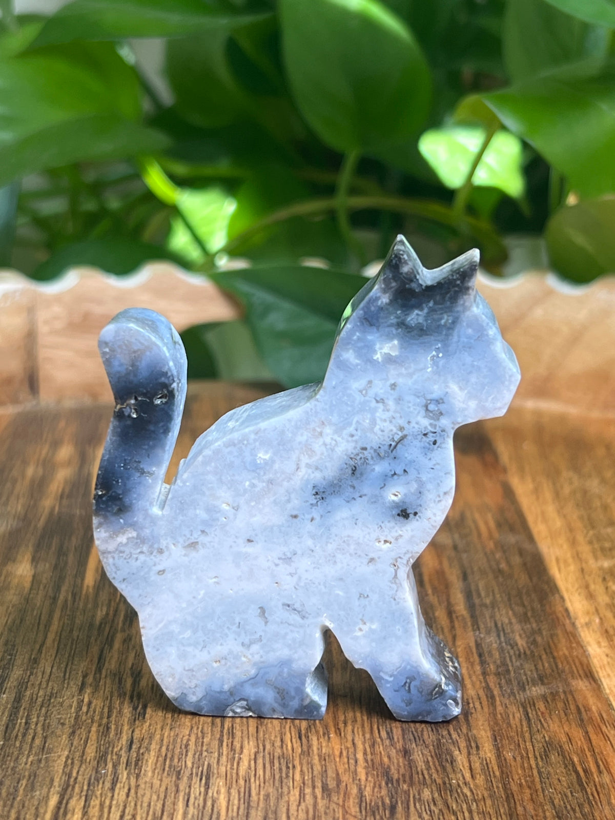 Blue Plume Agate Cat: AD