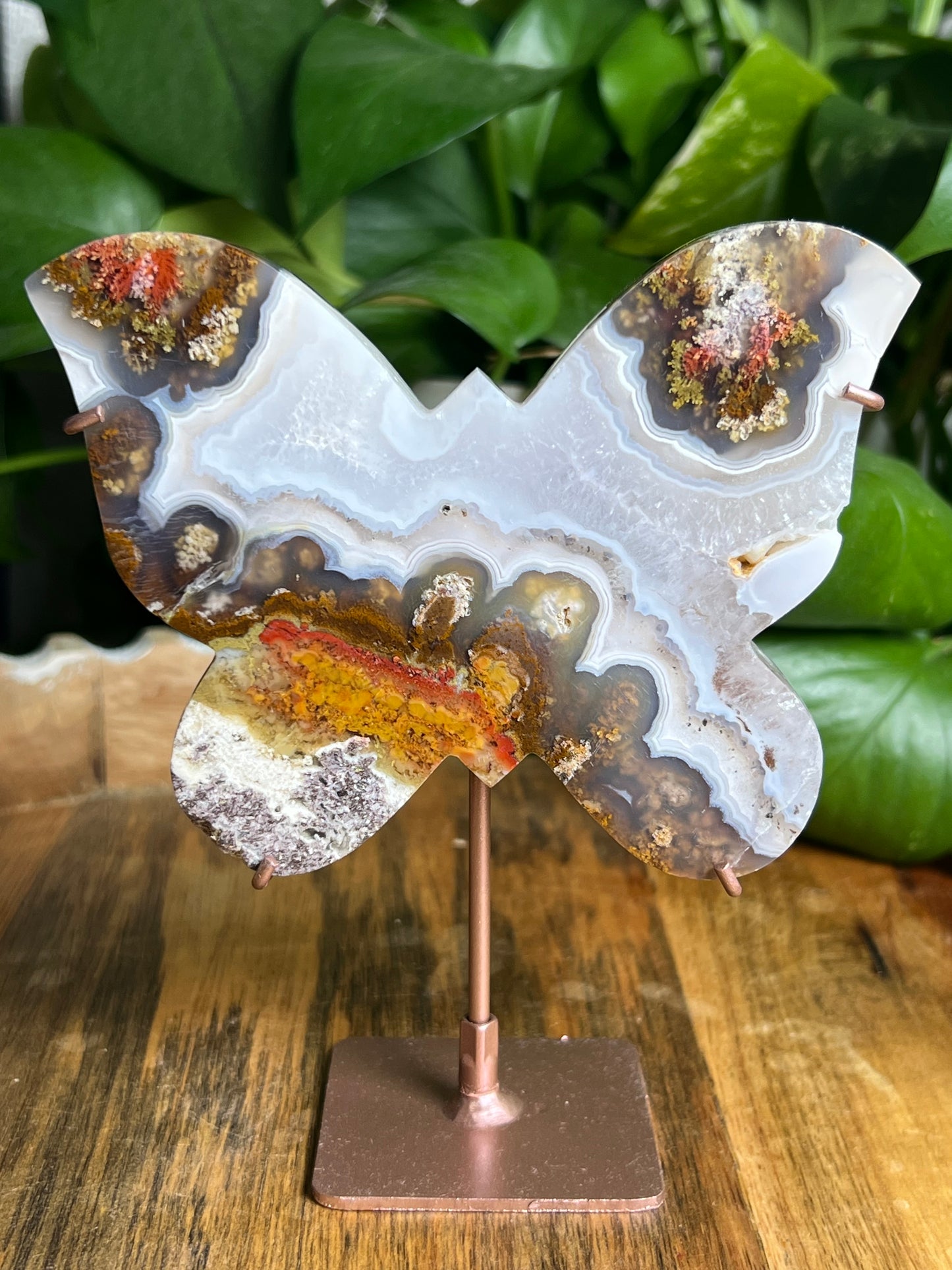 Scenic Moss Agate Butterfly