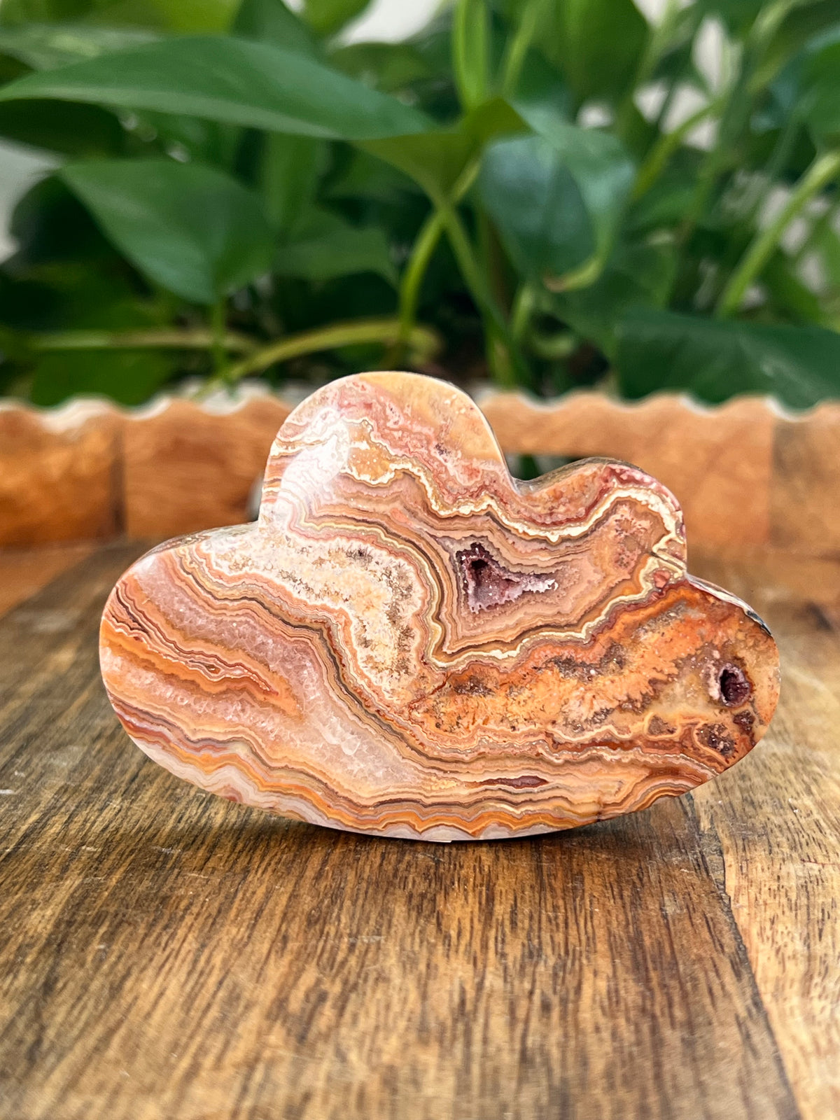 Crazy Lace Agate Self Standing Clouds