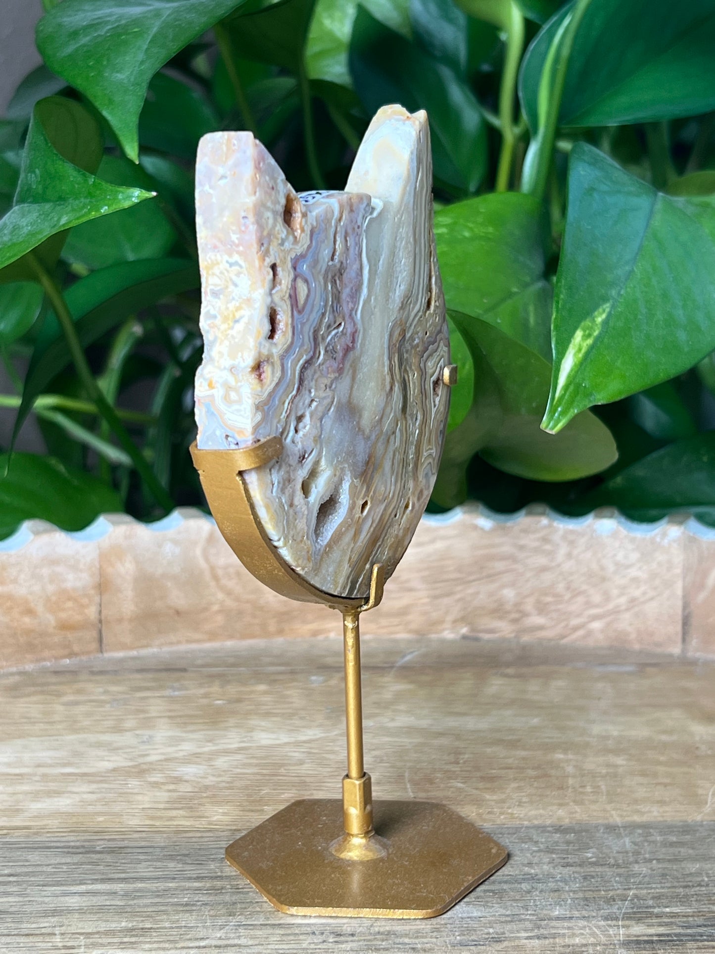 Crazy Lace Agate Cat Head