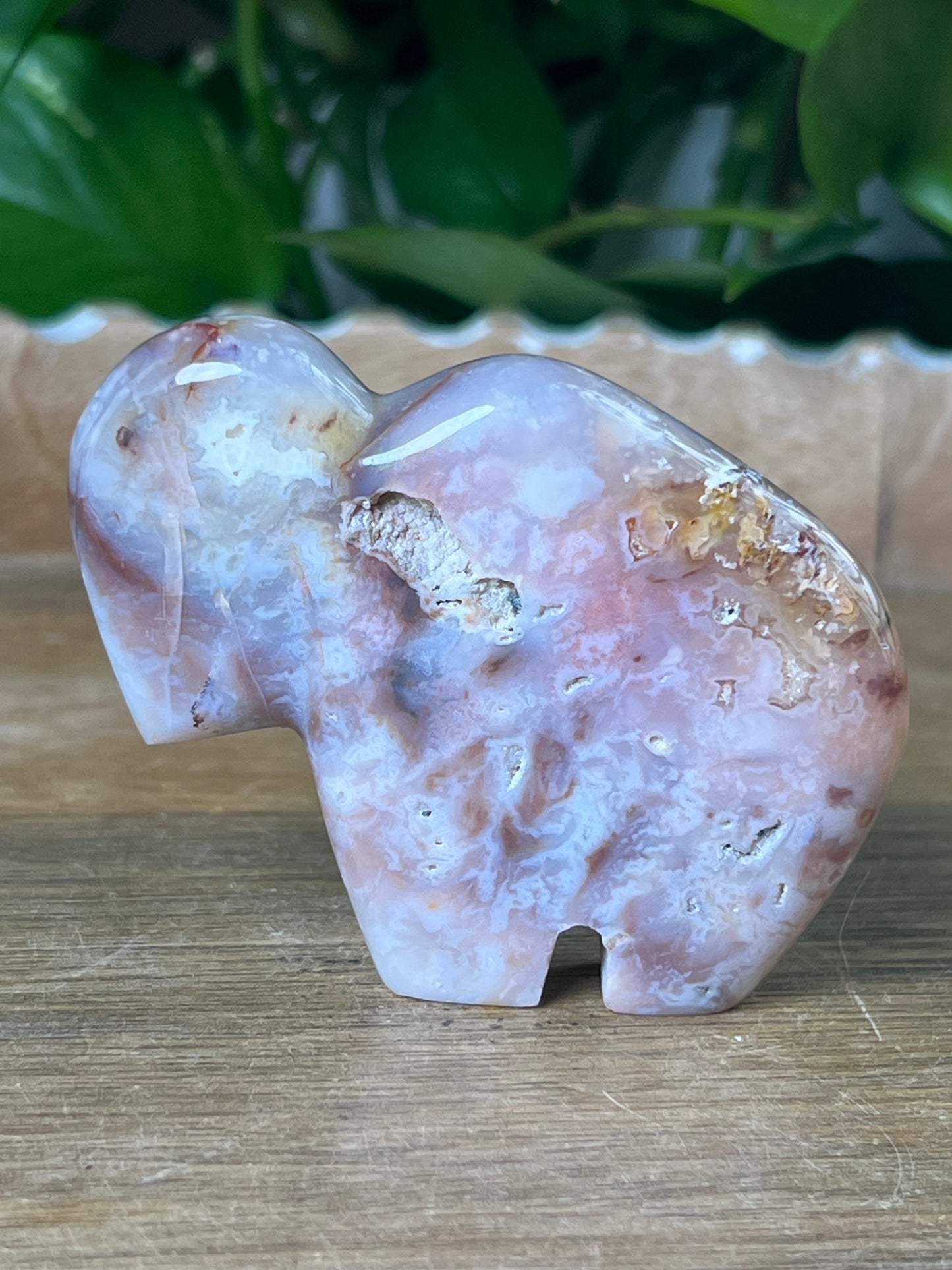 Rainbow Plume Agate Buffalo