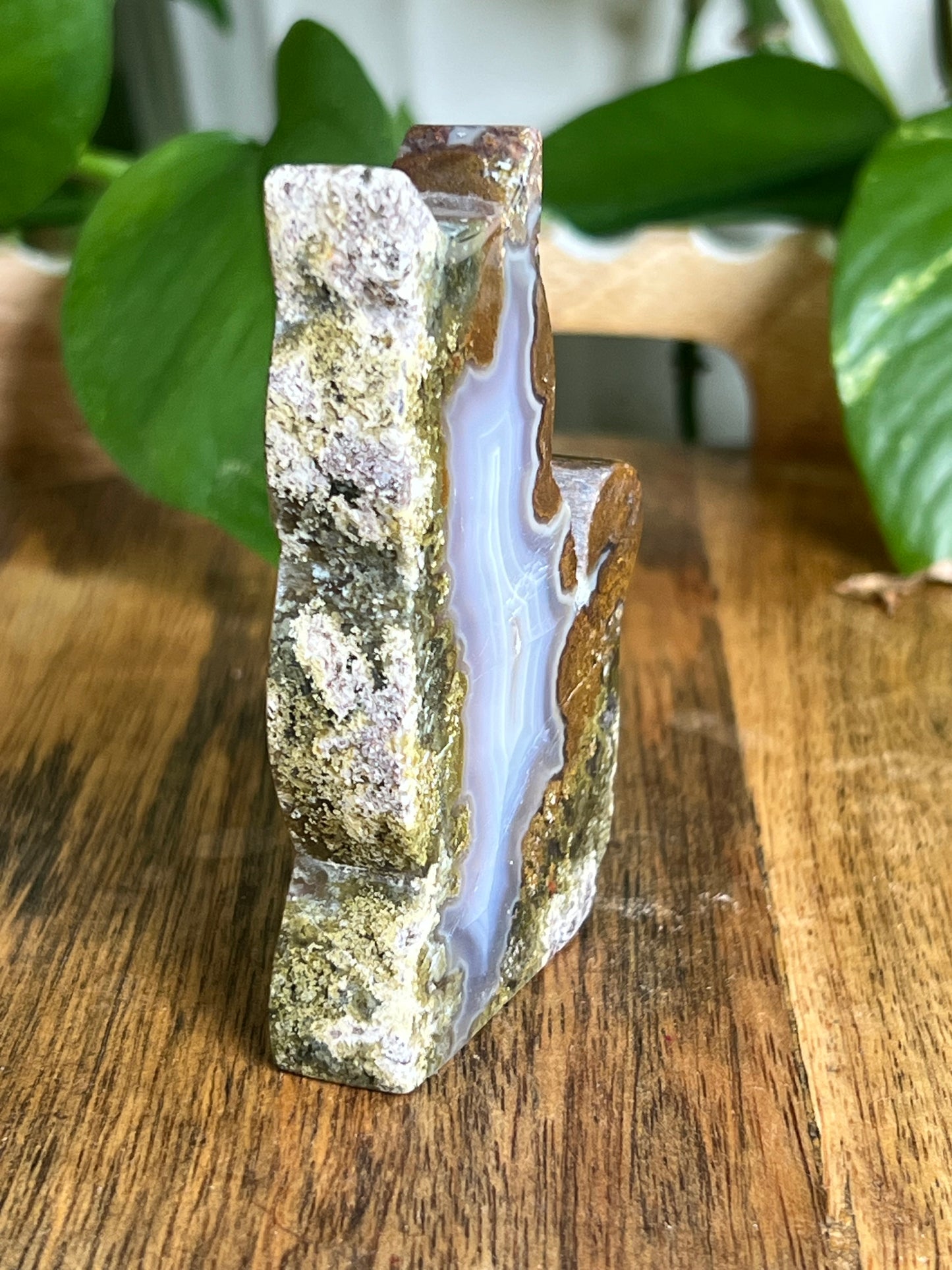 Scenic Moss Agate Cat HK