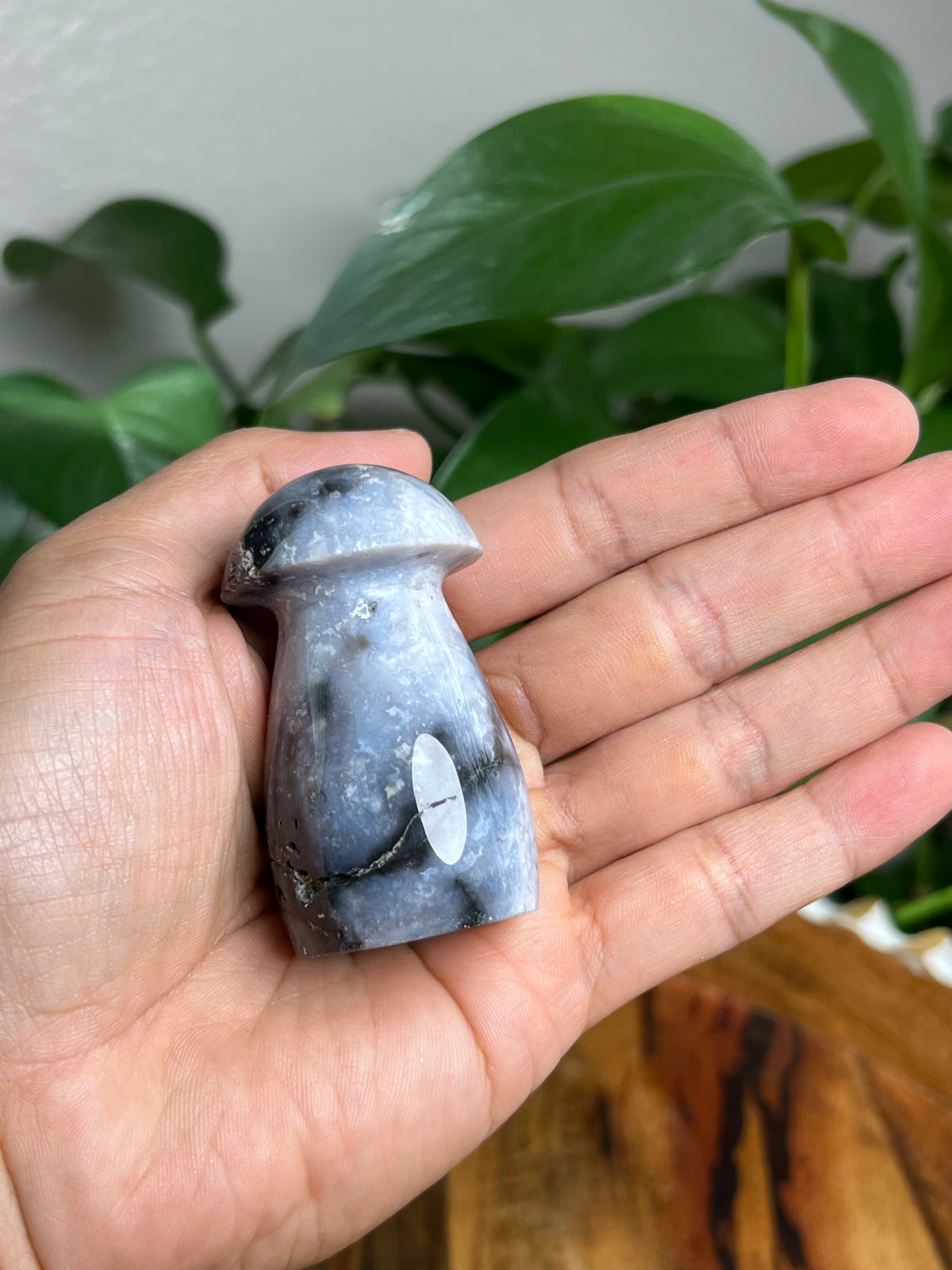 Blue Plume Agate Mushroom: EK
