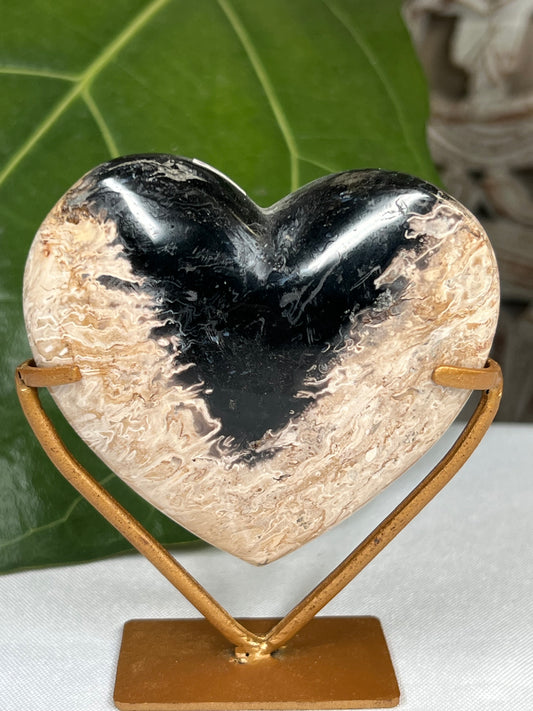 Palm Root Heart