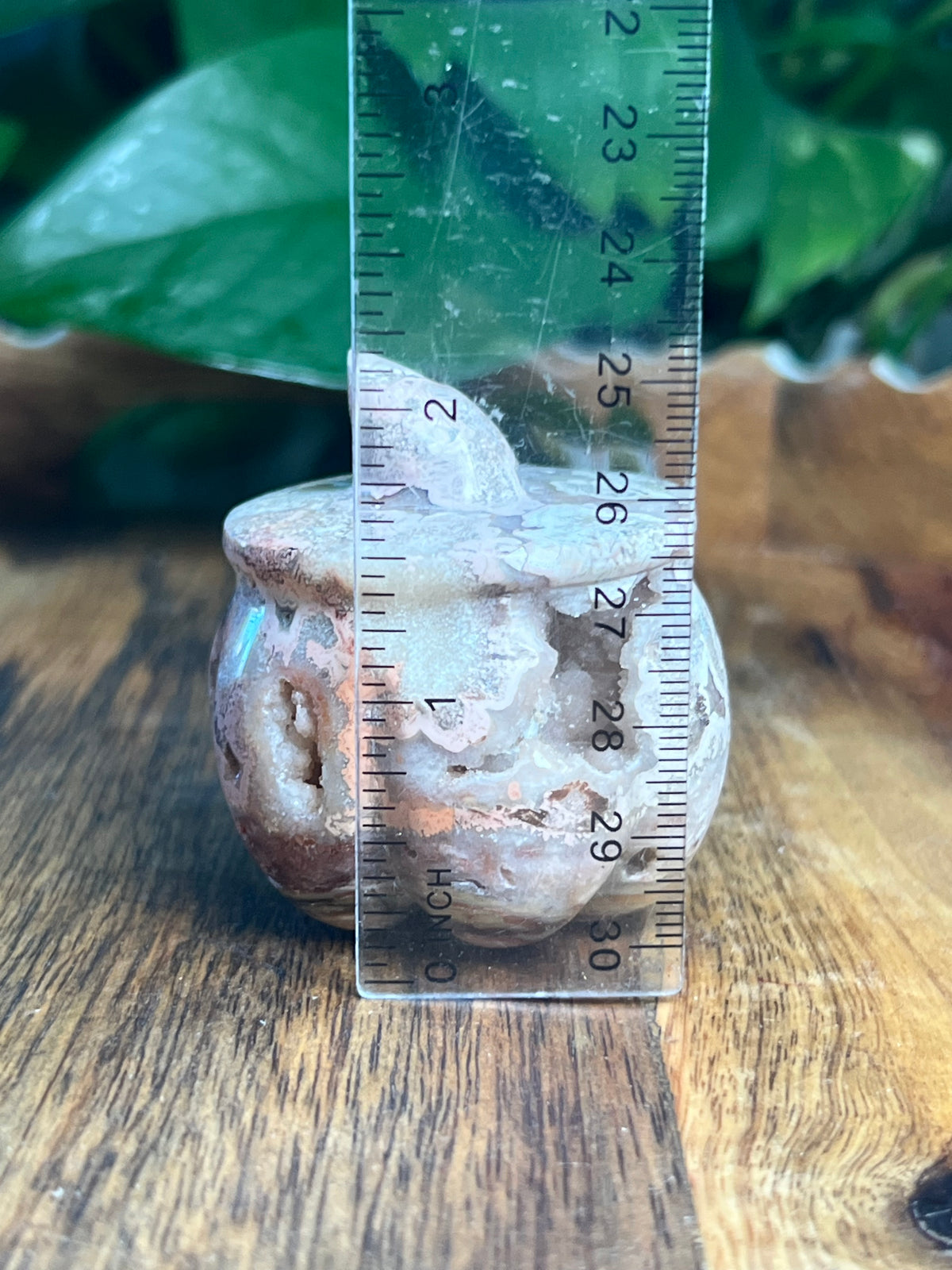 Crazy Lace Agate Pumpkin: A