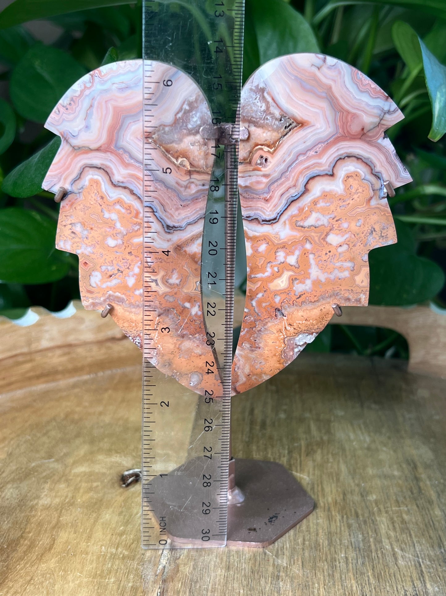 Crazy Lace Agate Wings