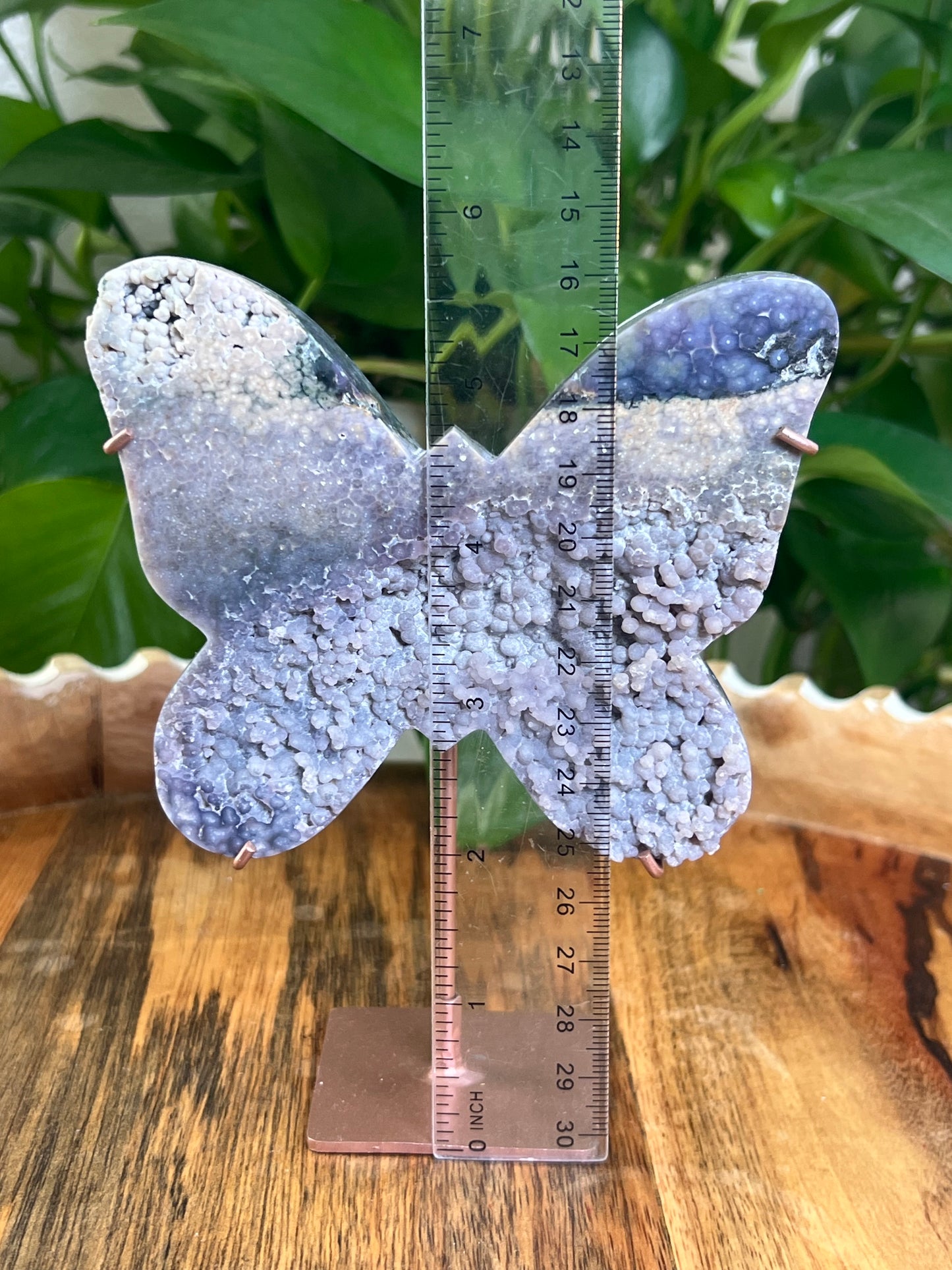 Grape Agate Butterfly: PX