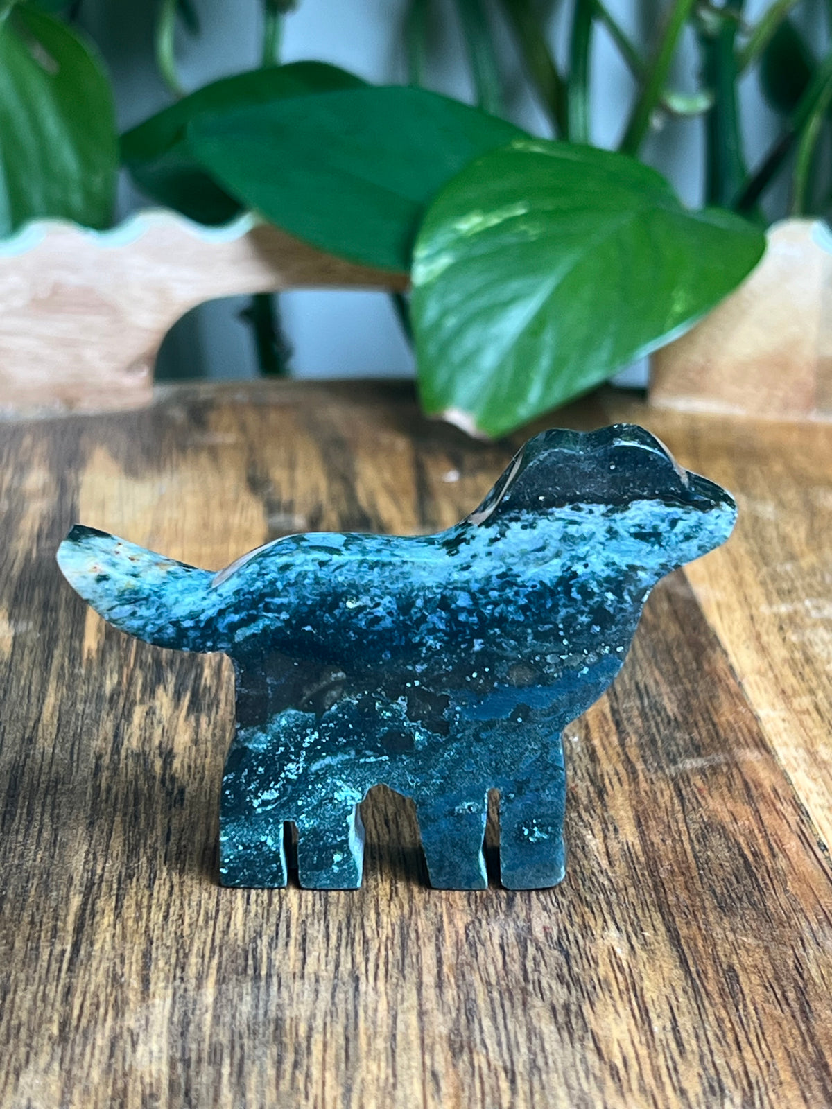 Blue Green Jasper Dog: BC