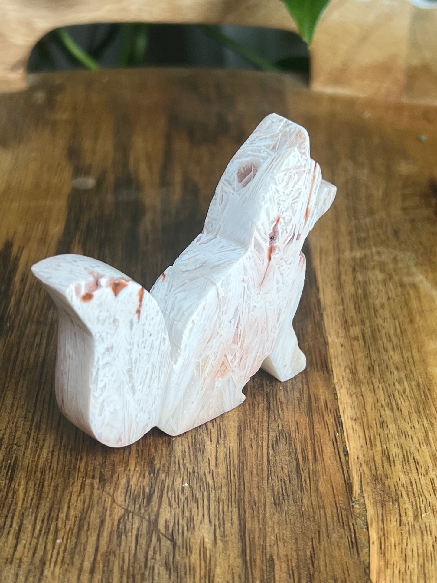 Tube Agate Fox BG