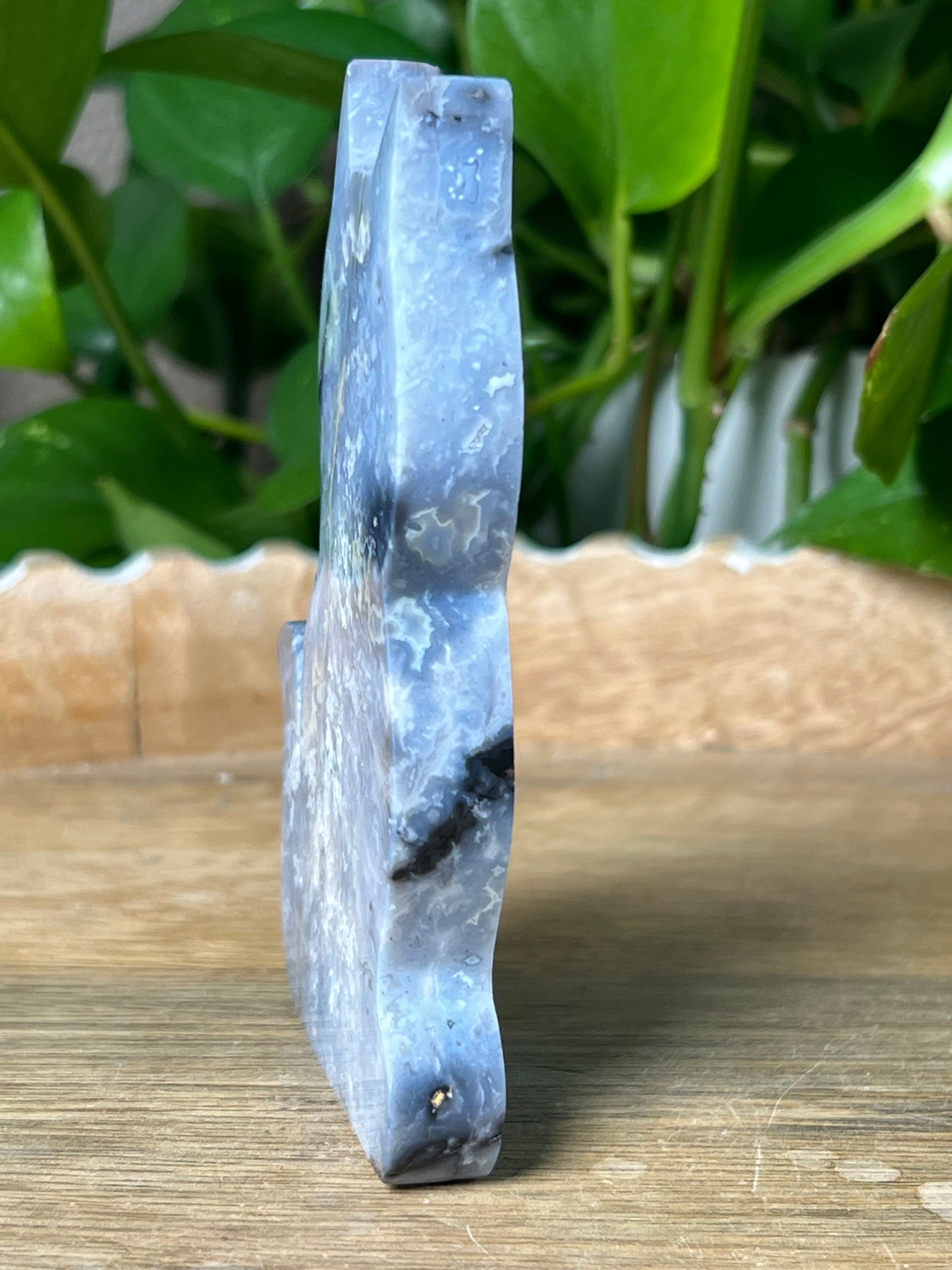 Blue Plume Agate Cat