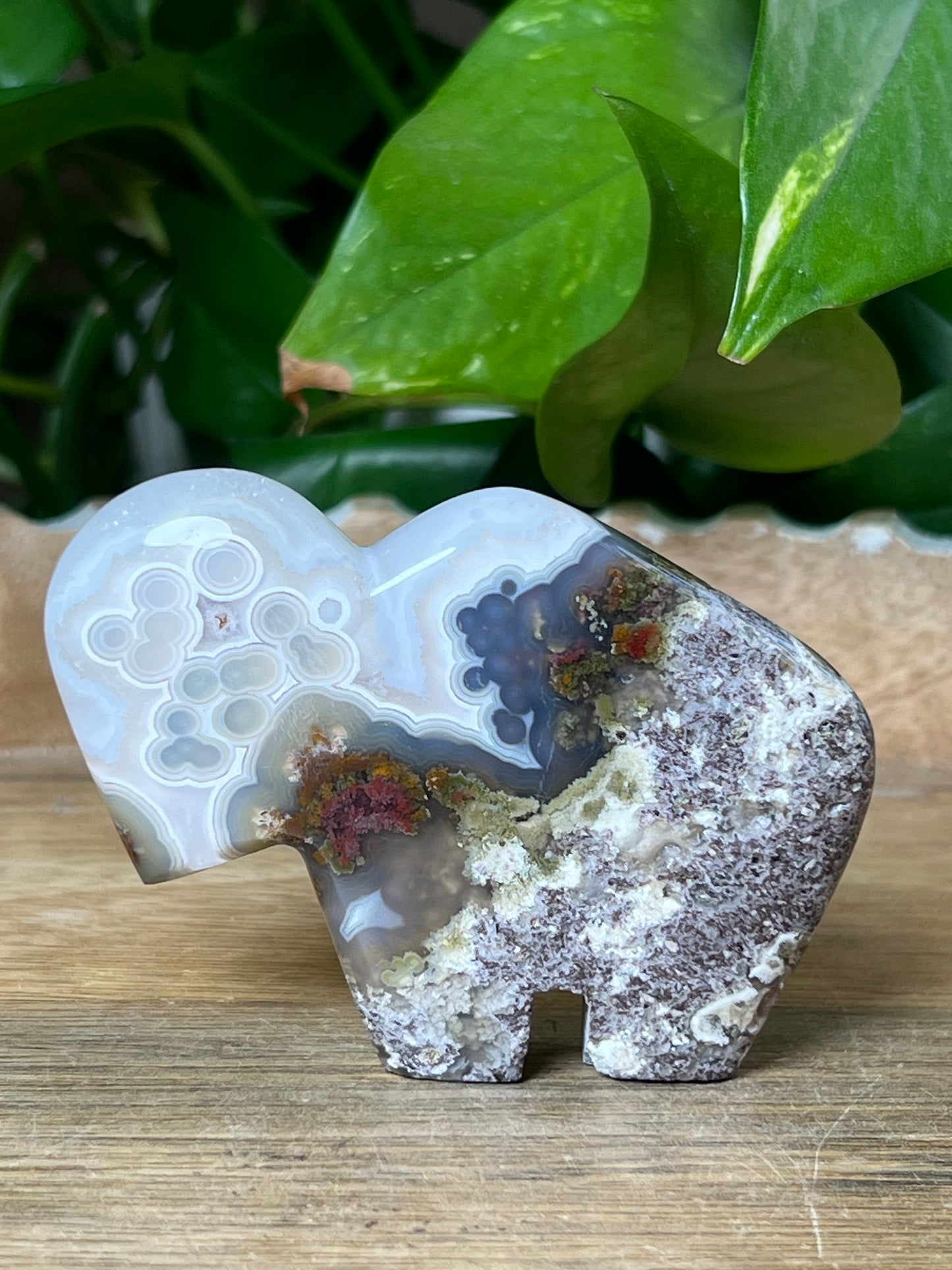 Scenic Moss Agate Buffalo