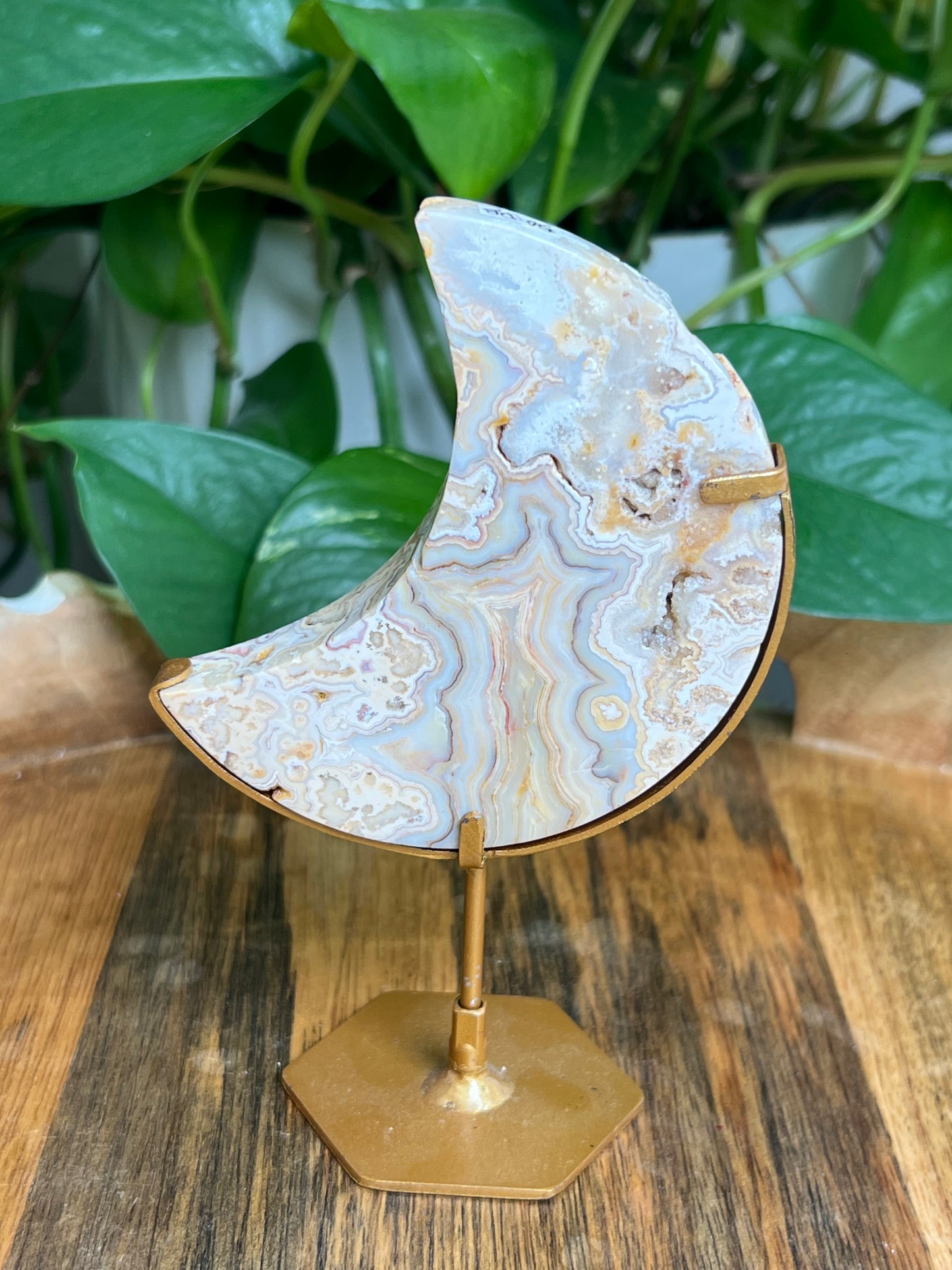 Yellow Crazy Lace Agate Moon: DB