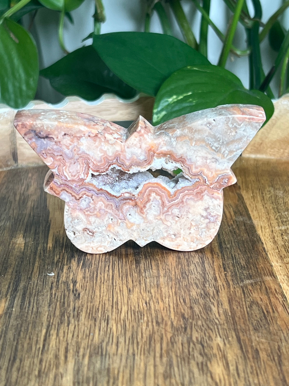 Crazy Lace Agate Butterfly: A