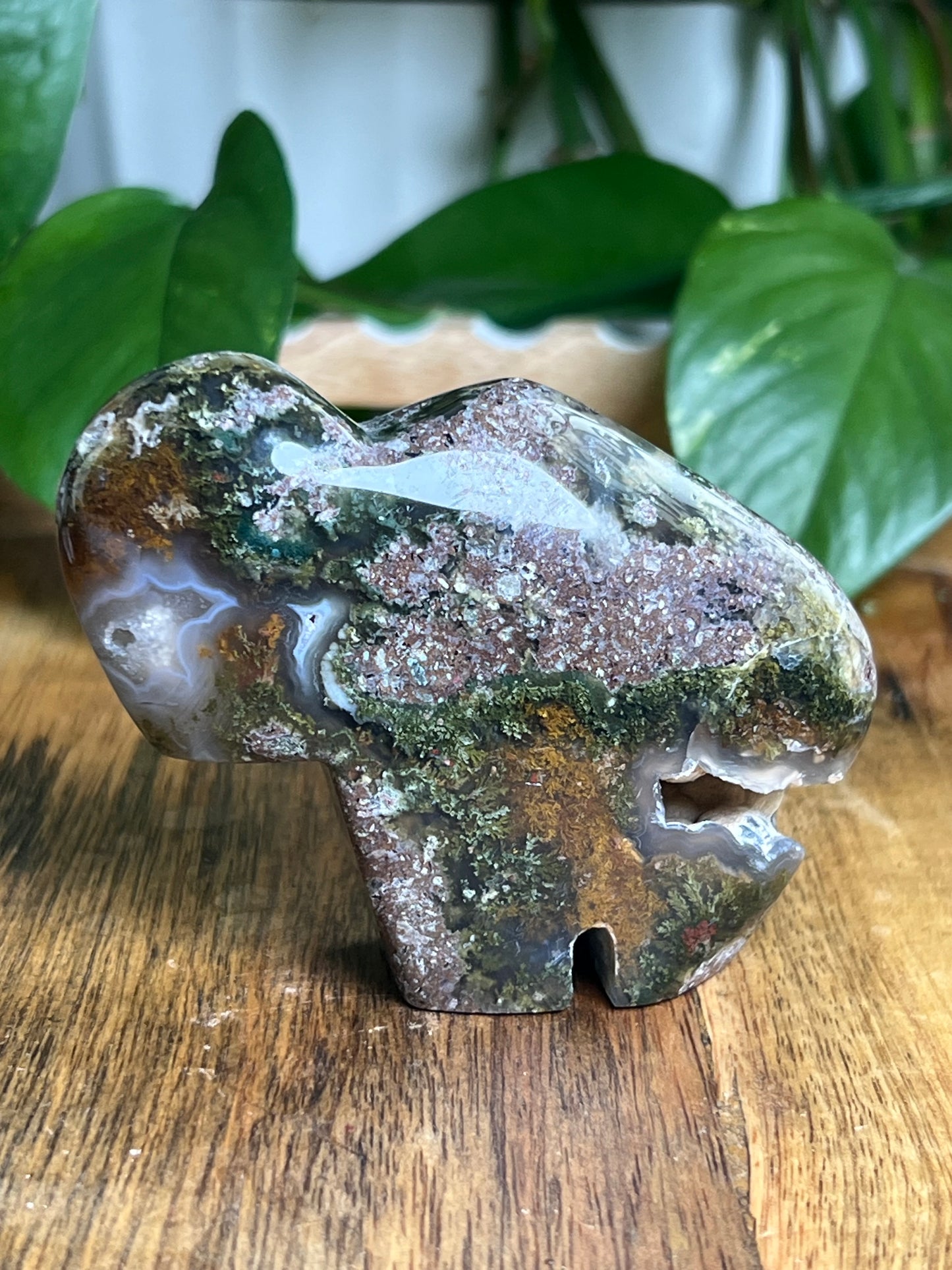 Scenic Moss Agate Buffalo NB