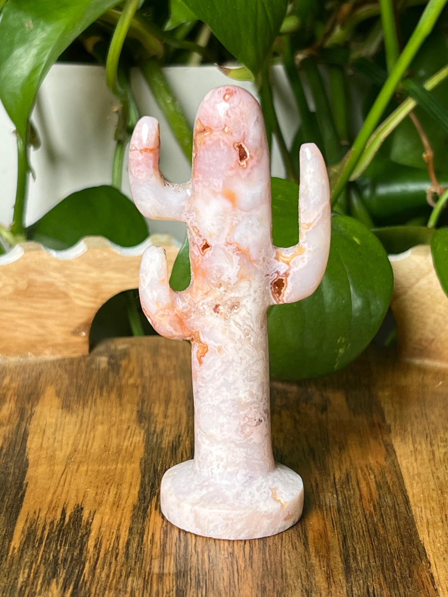 Pink Carnelian Cactus