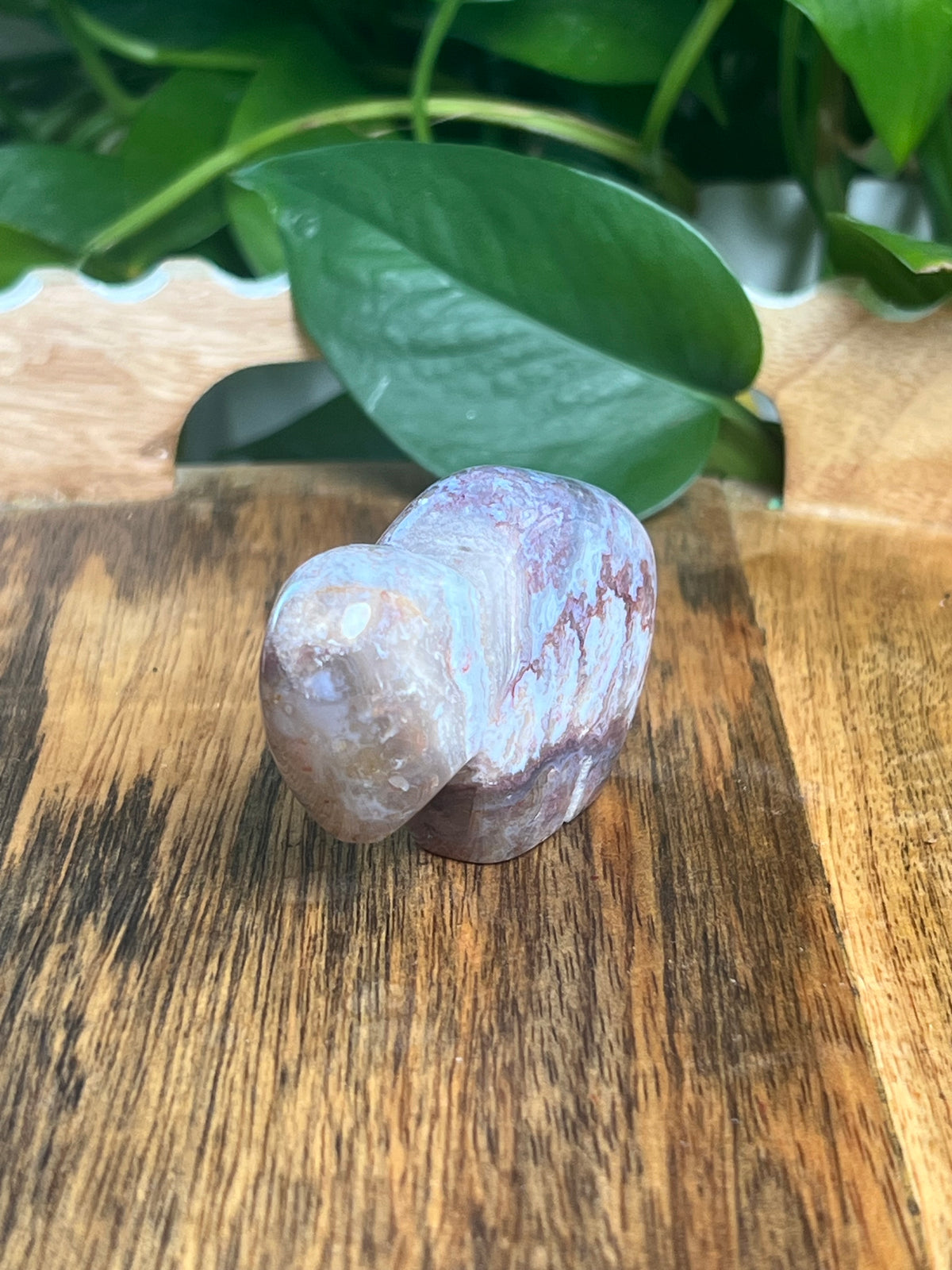 Sumatra Plume Agate Mini Buffalo: DQ