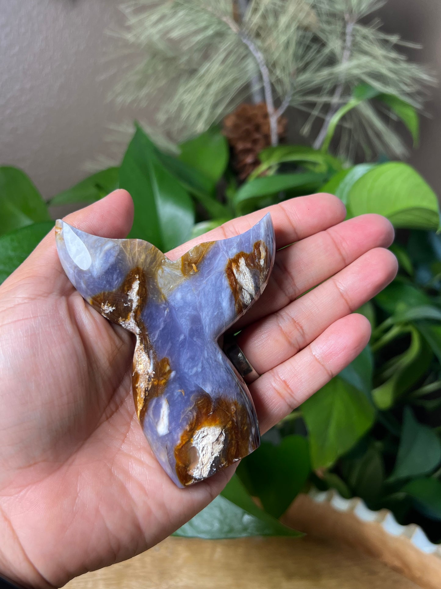 Purple Chalcedony Tail