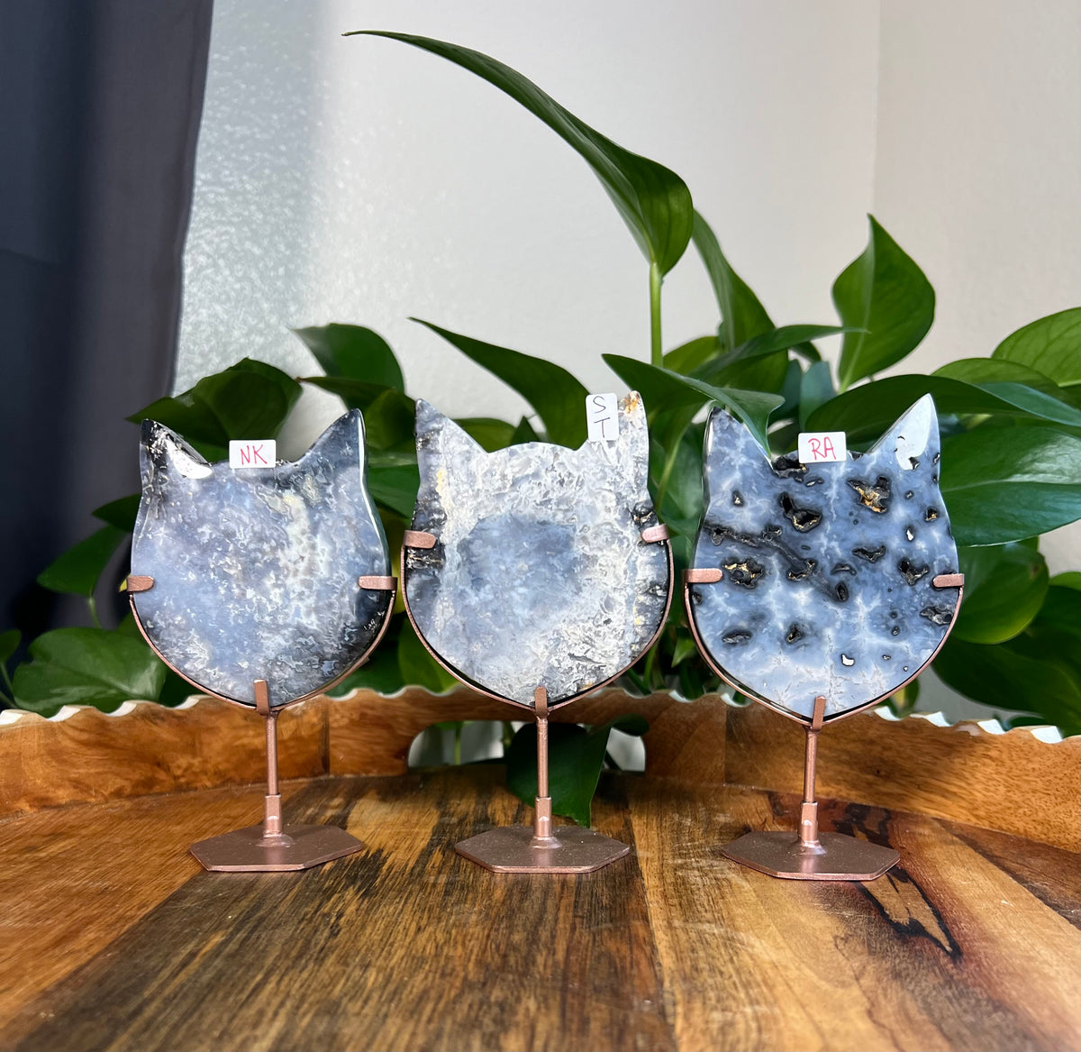 Blue Plume Agate Cat Heads