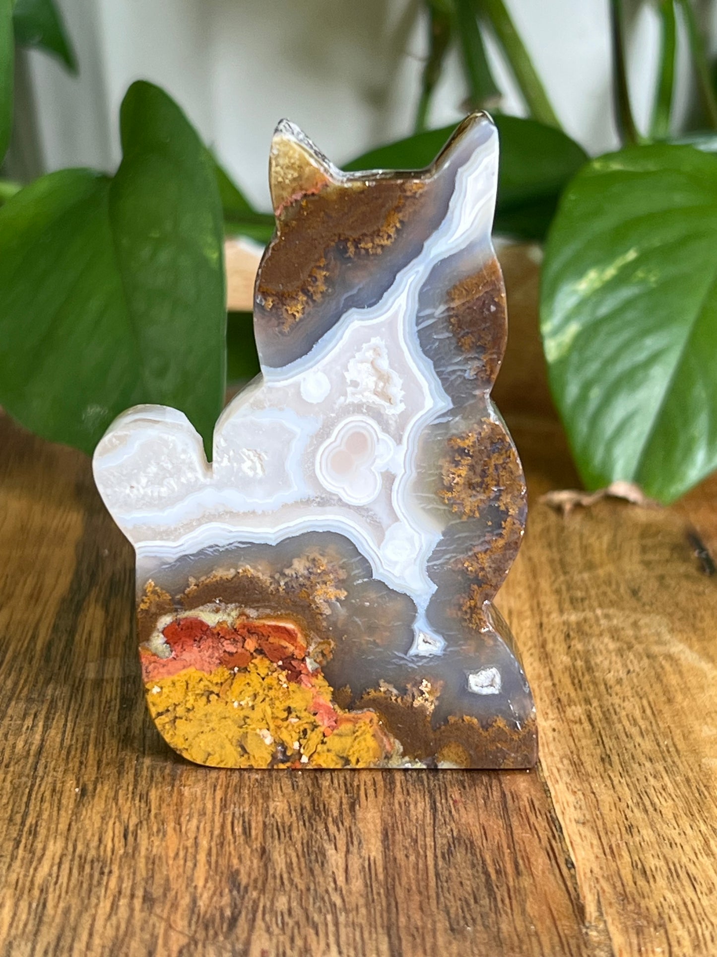 Scenic Moss Agate Cat HZ