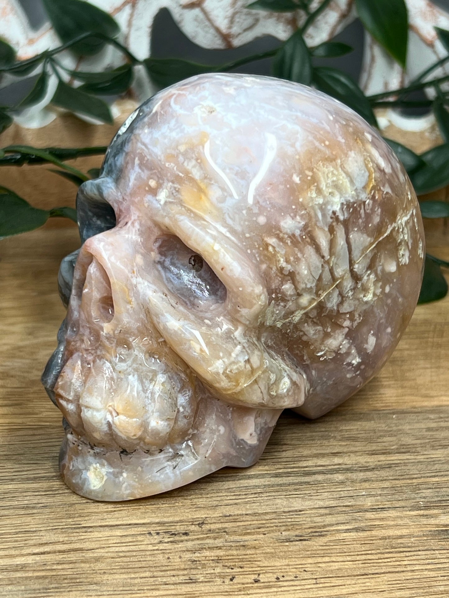 Rainbow Plume Agate Skull