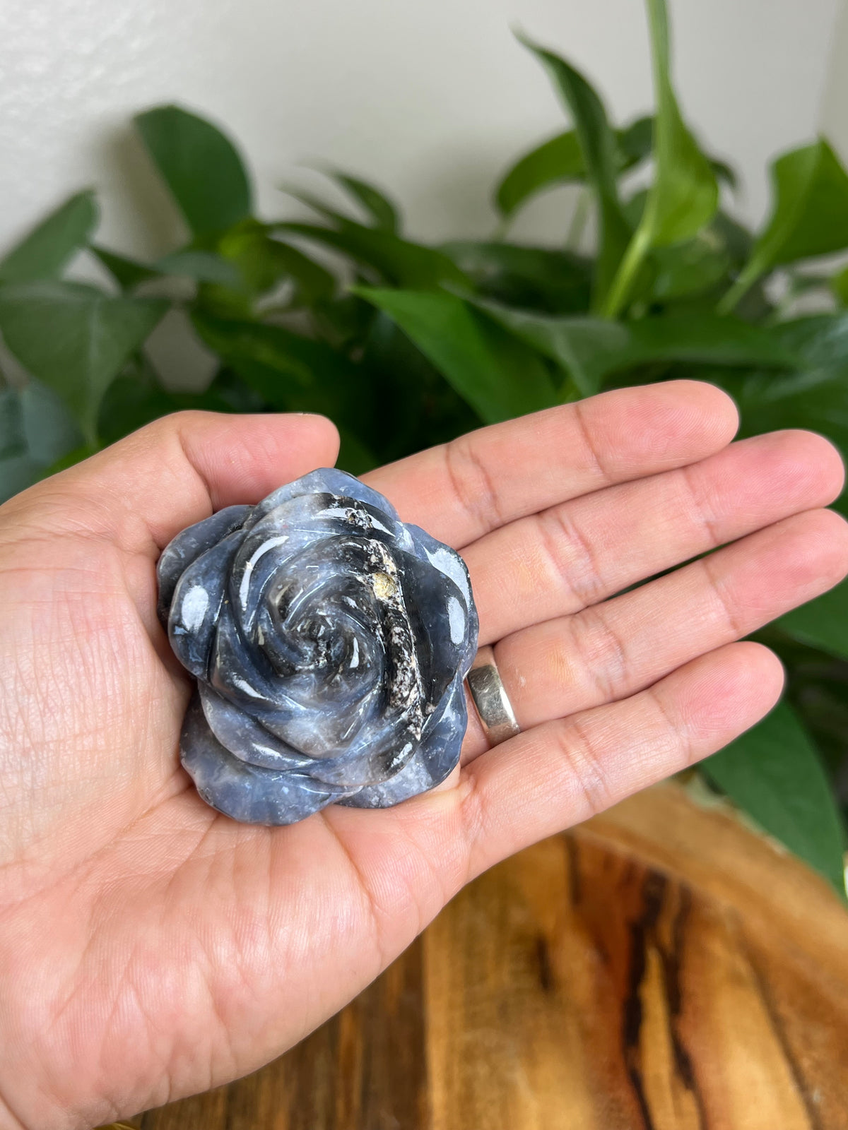 Blue Plume Agate Rose: WA