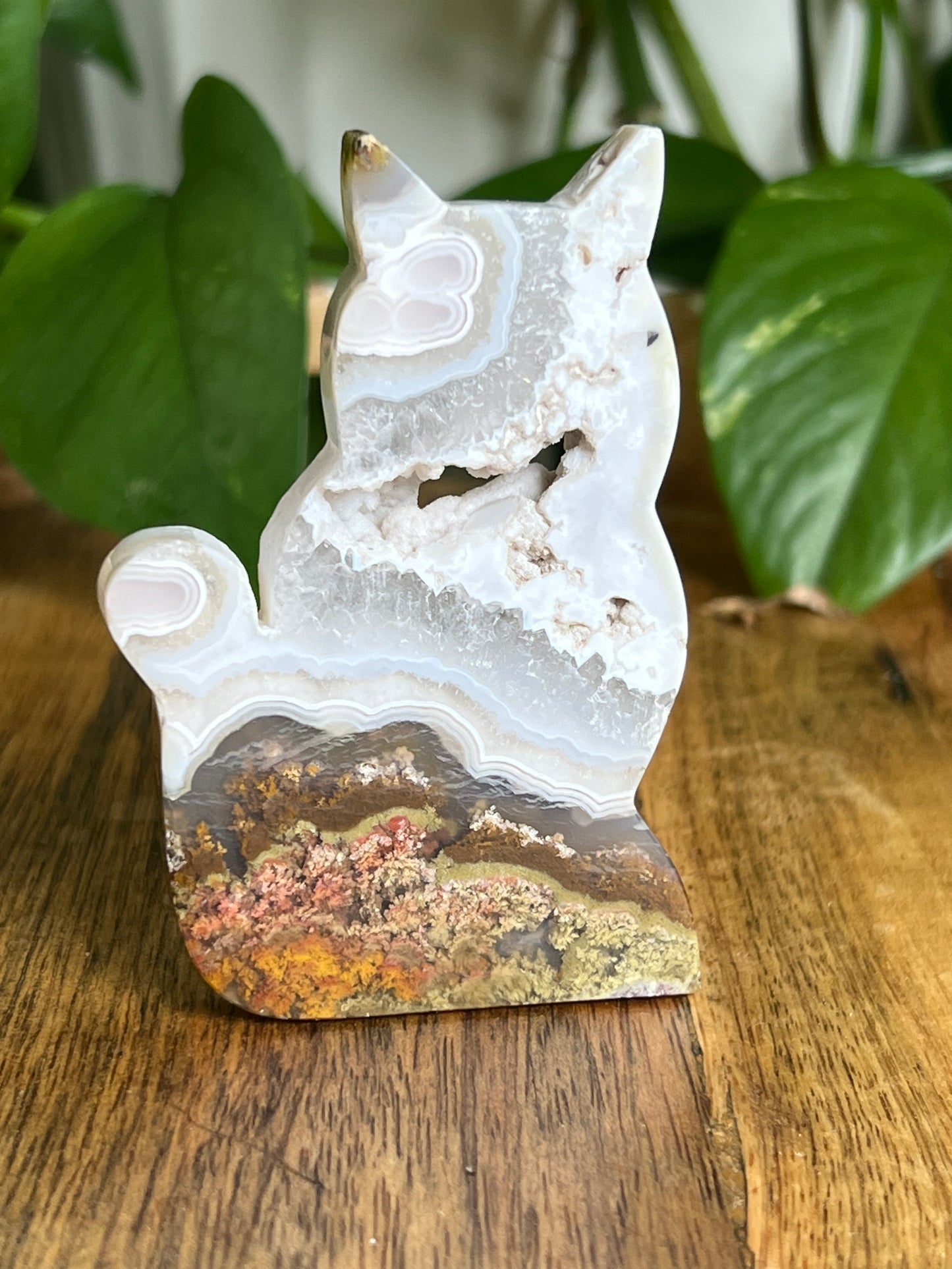 Scenic Moss Agate Cat HQ