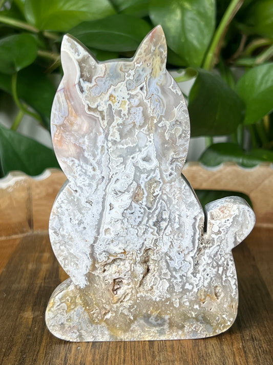 Sumatra Plume Agate Cat