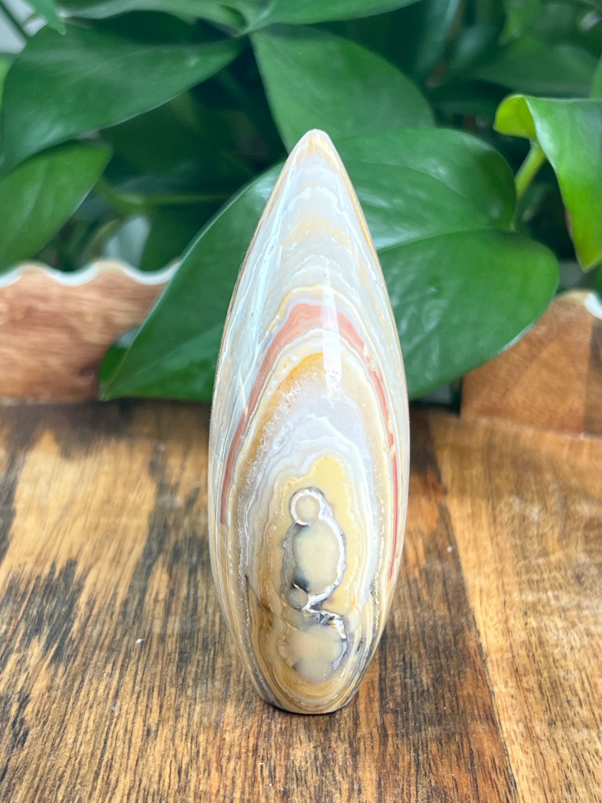 Crazy Lace Agate Flame: EH