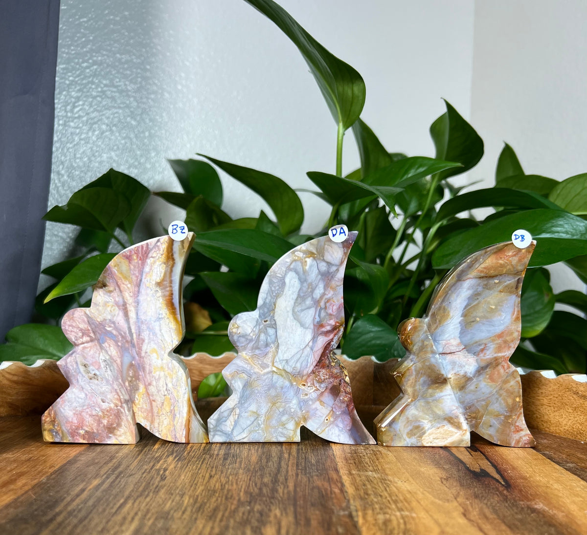 River Jasper Fairies