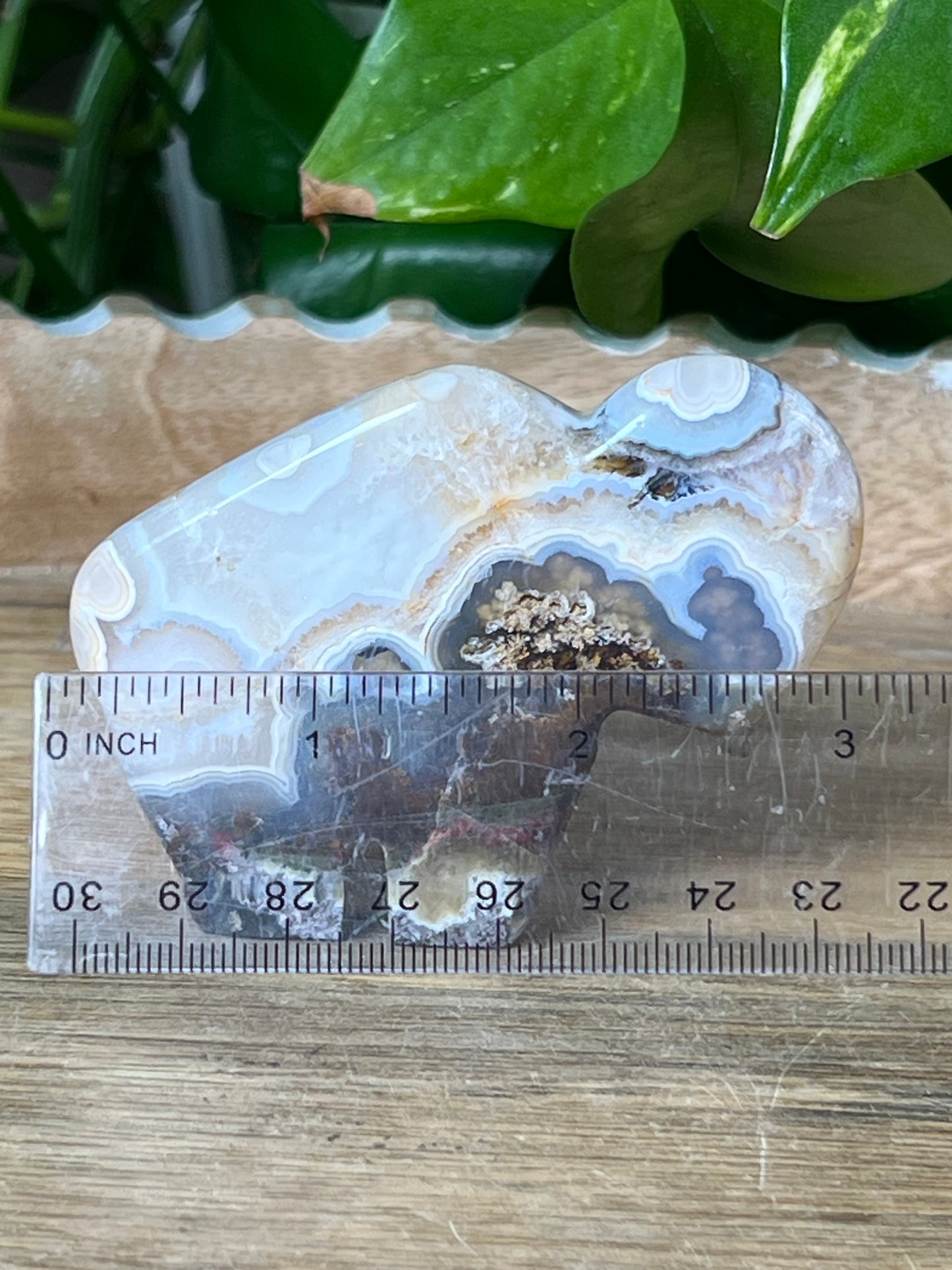 Scenic Moss Agate Buffalo