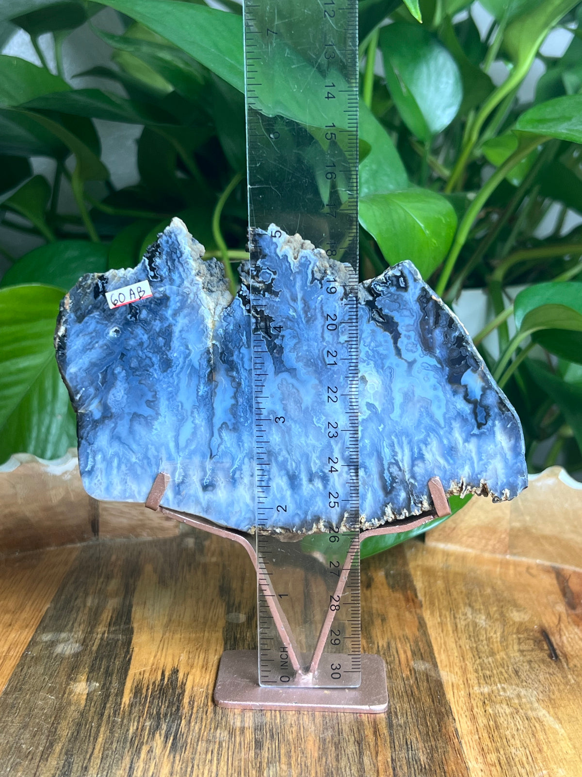 Blue Plume Agate Slab: AB