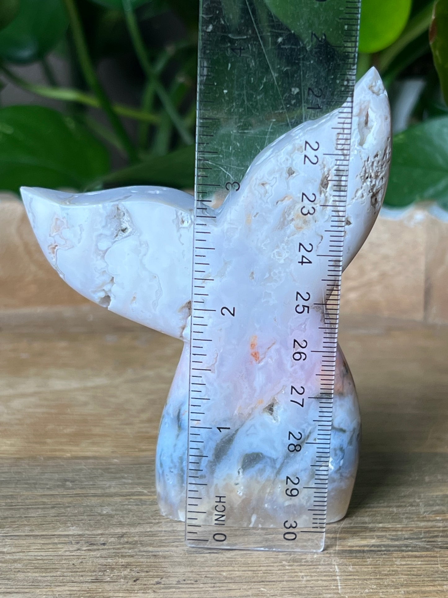 Rainbow Plume Agate Tail: RB