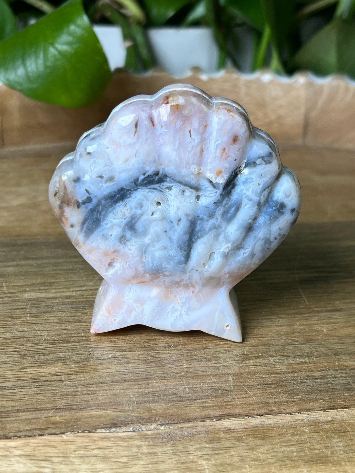 Rainbow Plume Agate Shell