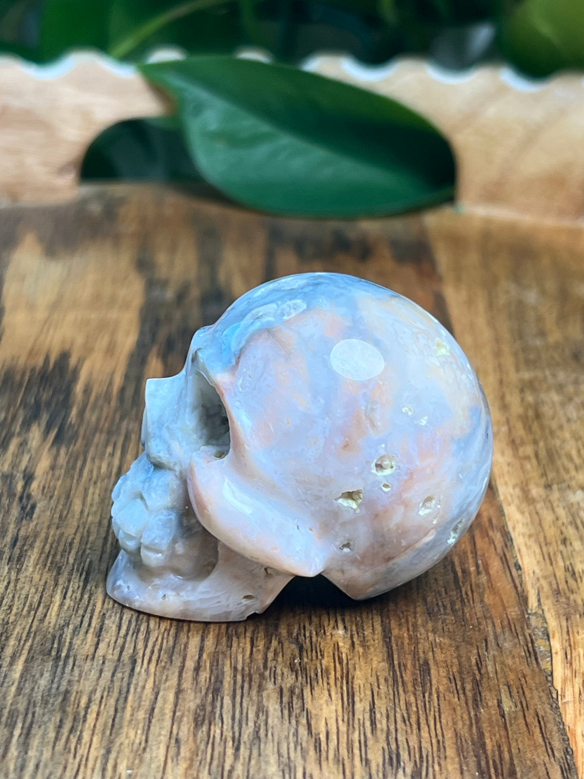 Rainbow Plume Agate Mini Skull: DB
