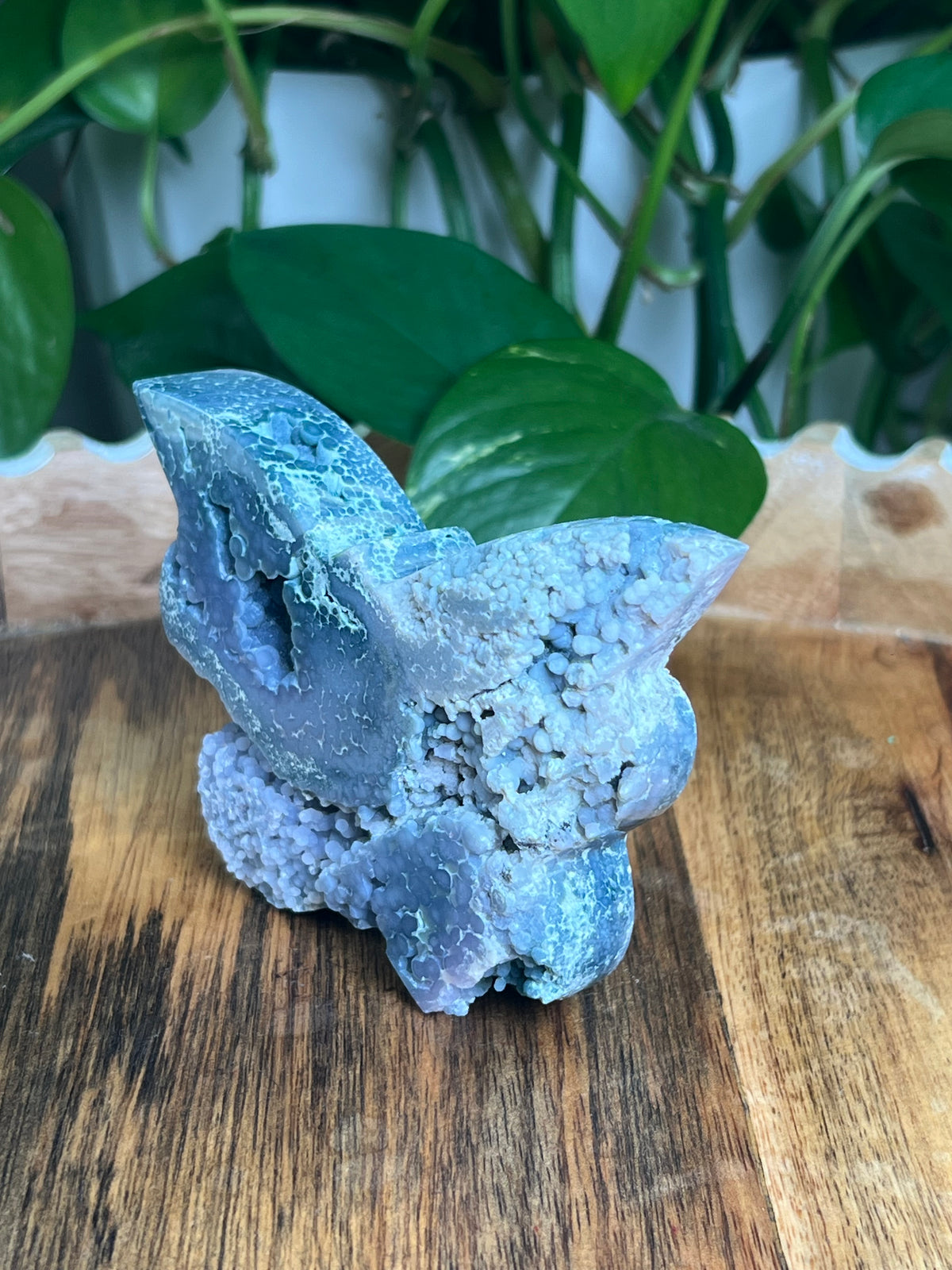 Grape Agate Butterfly: D