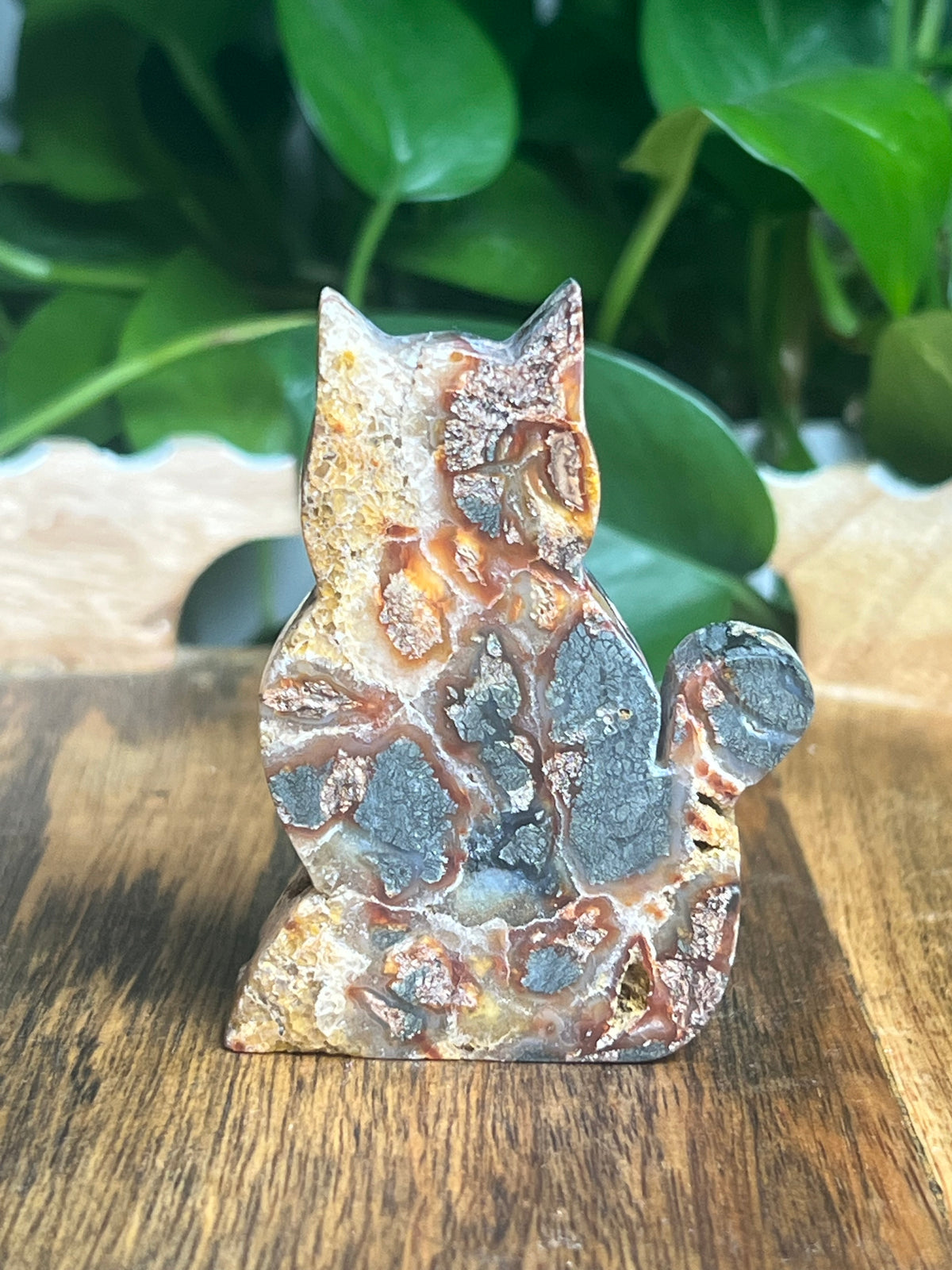Marcasite Cat: DD