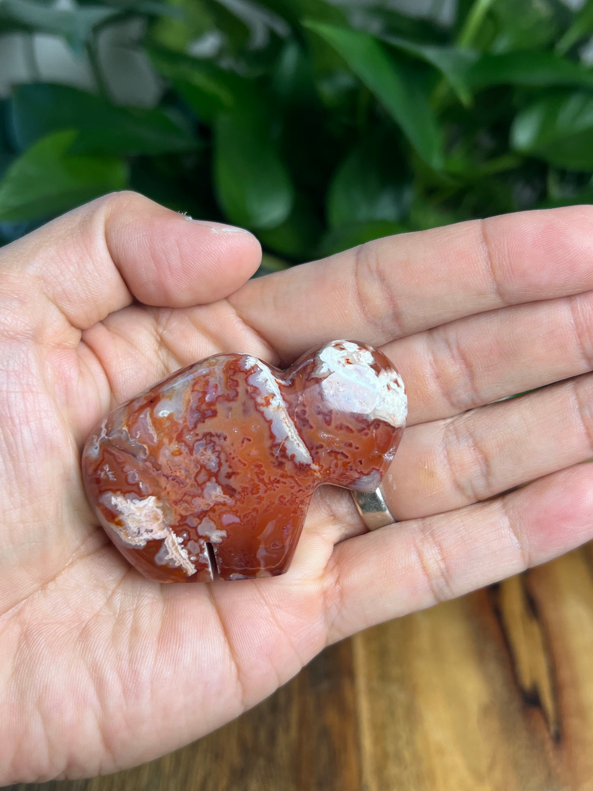 Carnelian Mini Buffalo: BK