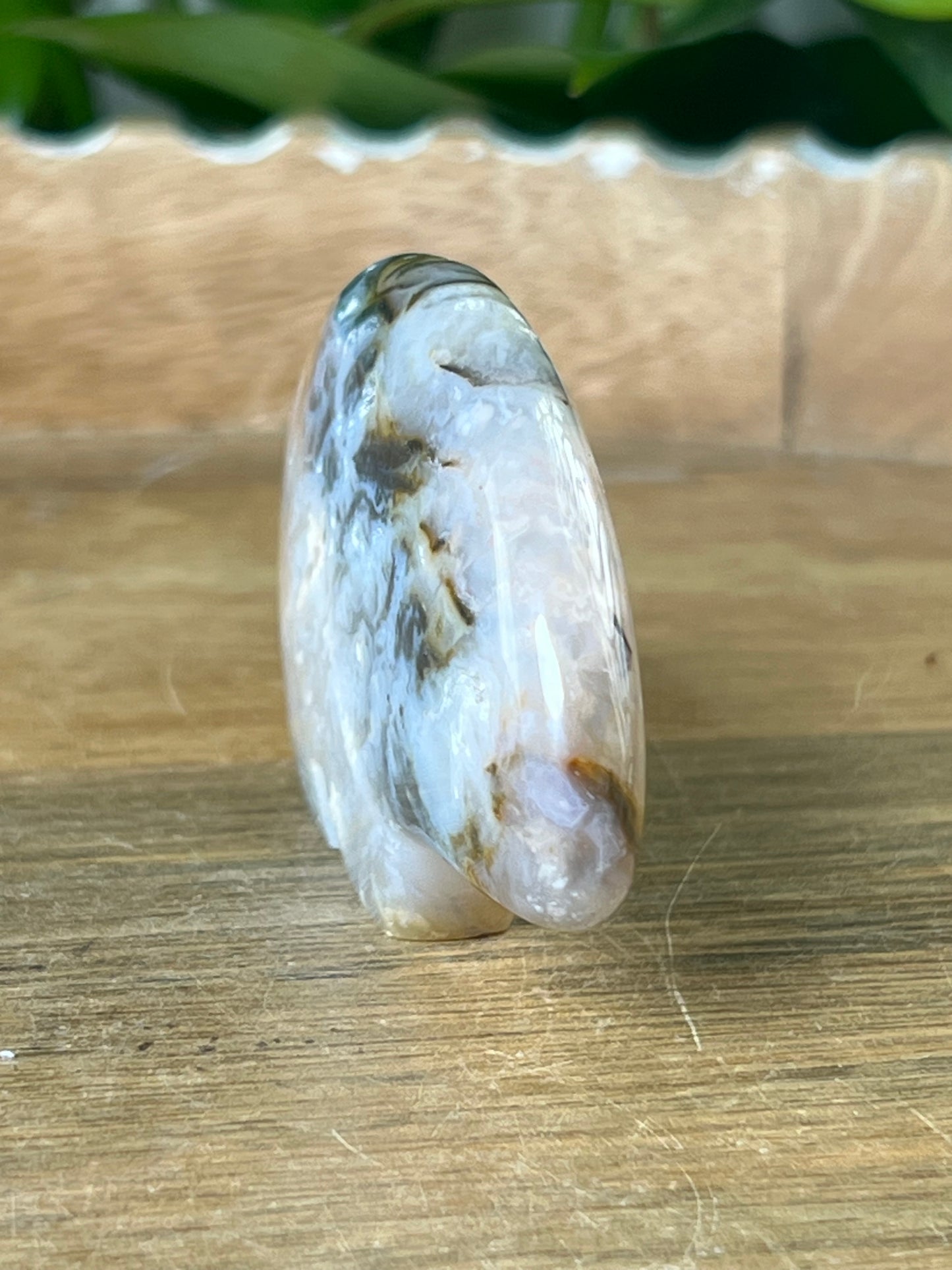 Rainbow Plume Agate Bear