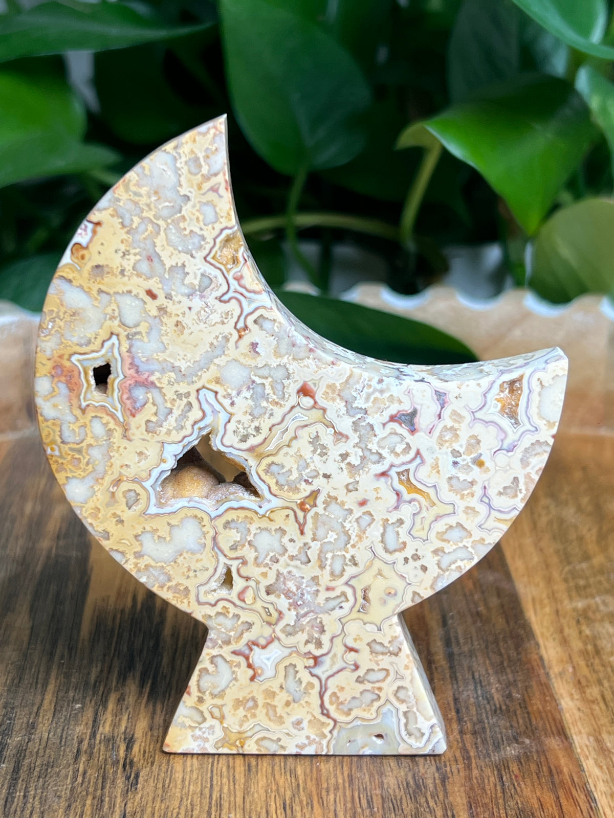 Crazy Lace Agate Self Standing Moon: DR