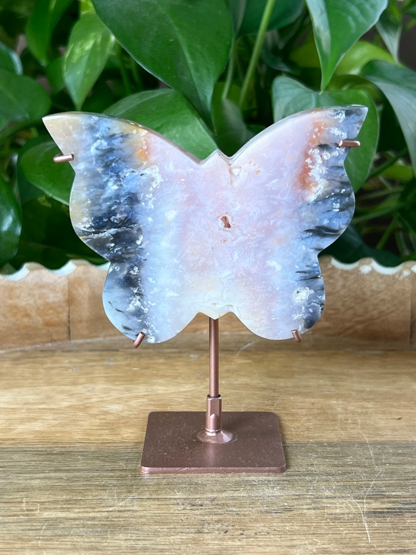 Rainbow Plume Agate Butterfly